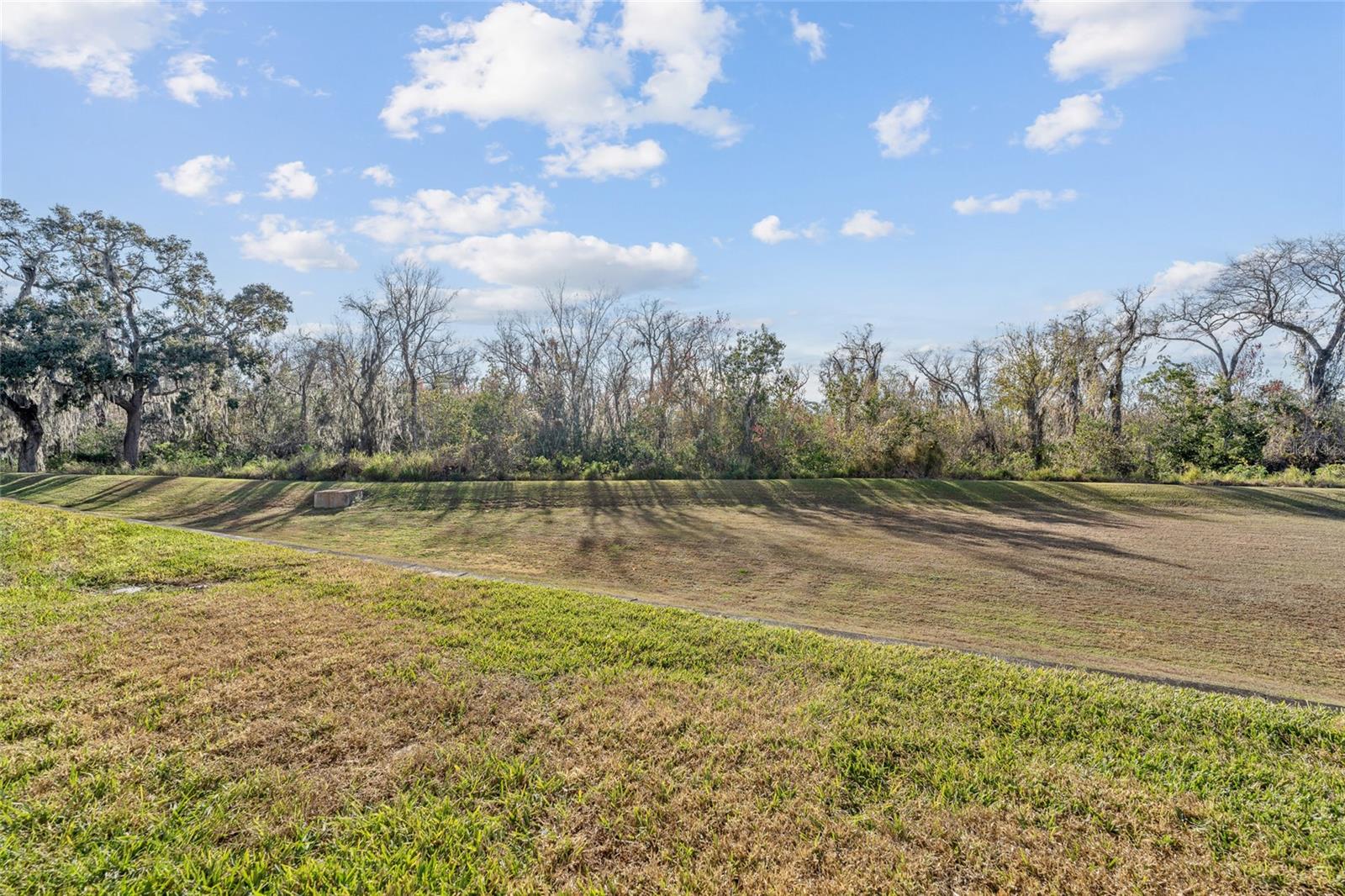 Image 26 of 34 For 314 Winter Nellis Circle