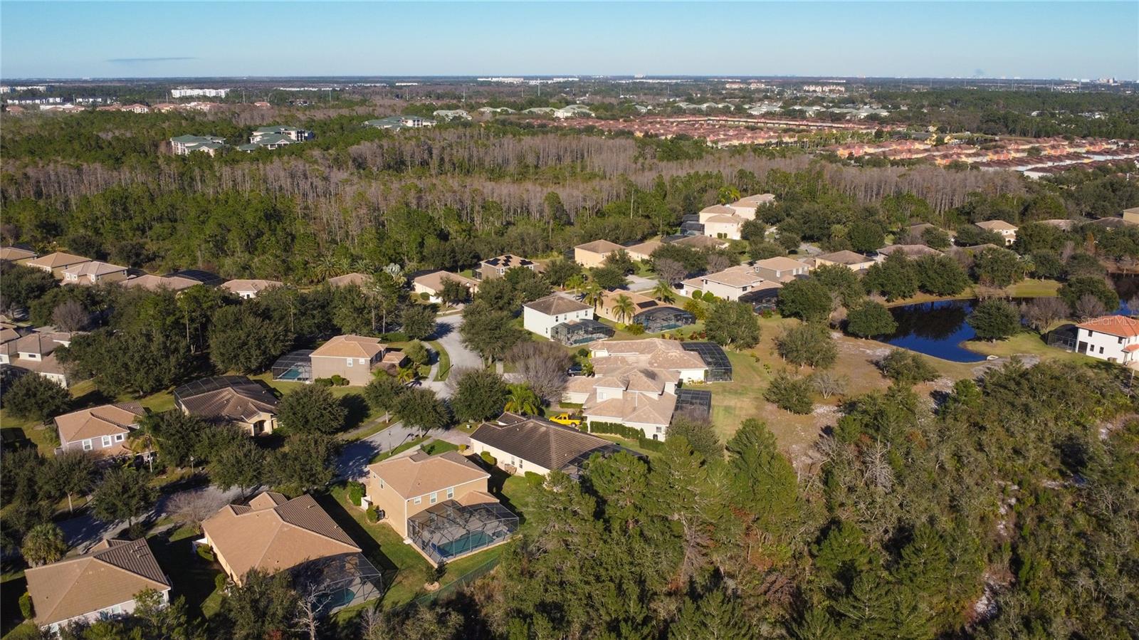 Image 62 of 62 For 9106 Stromboli Court