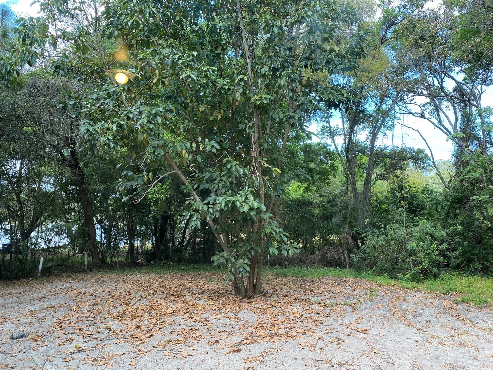 Image 11 of 11 For 50 Mileham Drive