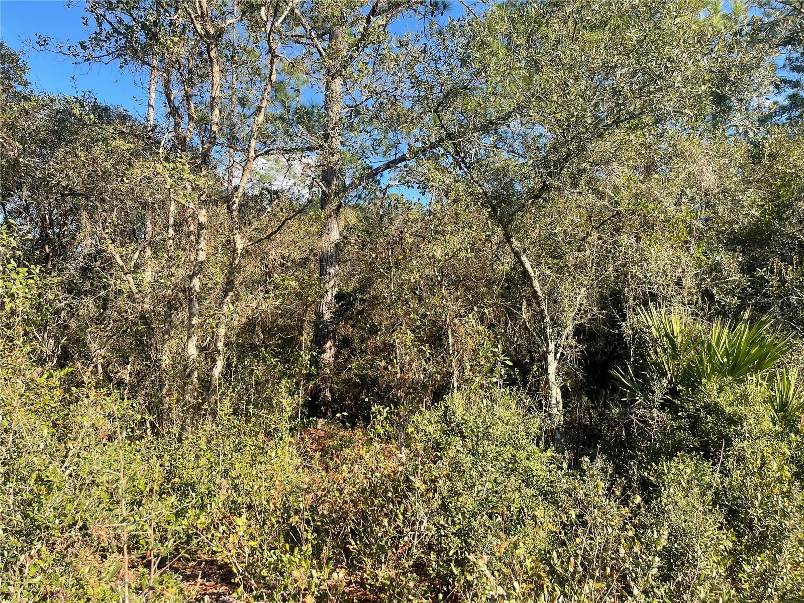 Image 3 of 3 For Rose Bud Drive