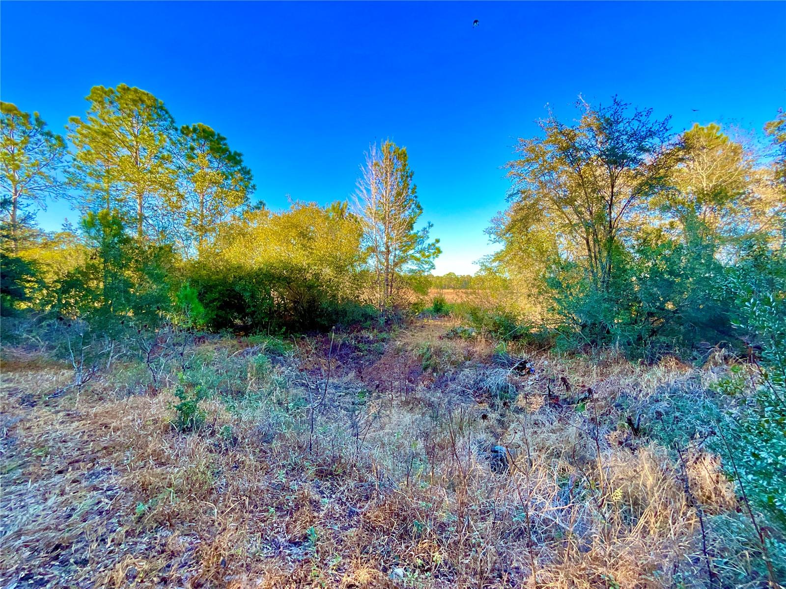 Image 2 of 14 For Tbd Lakeview Way