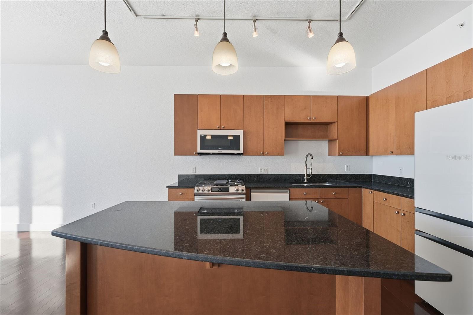 Image 13 of 46 For 150 Robinson Street 2406