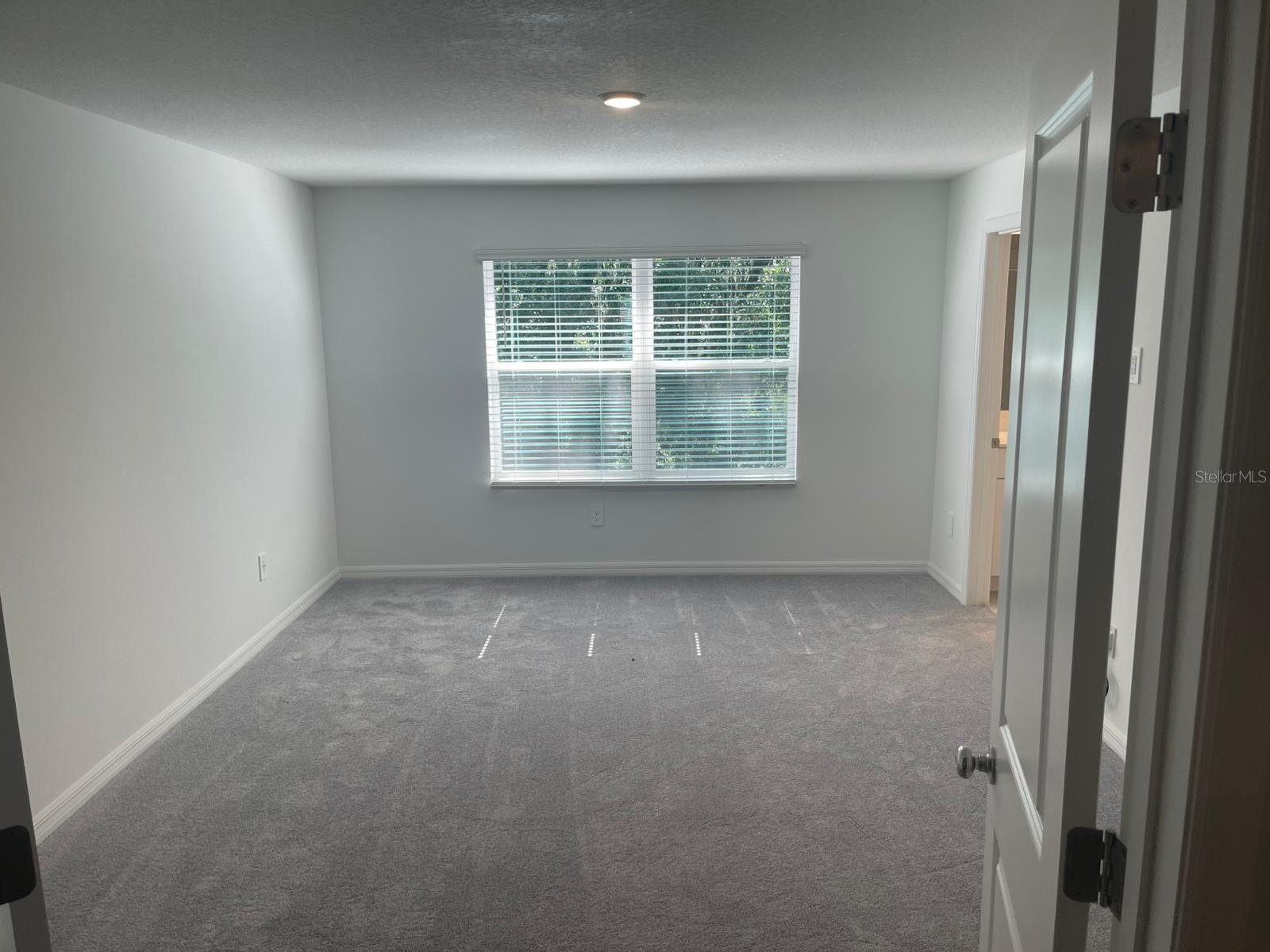 Image 11 of 17 For 10166 Trumpet Honeysuckle Way