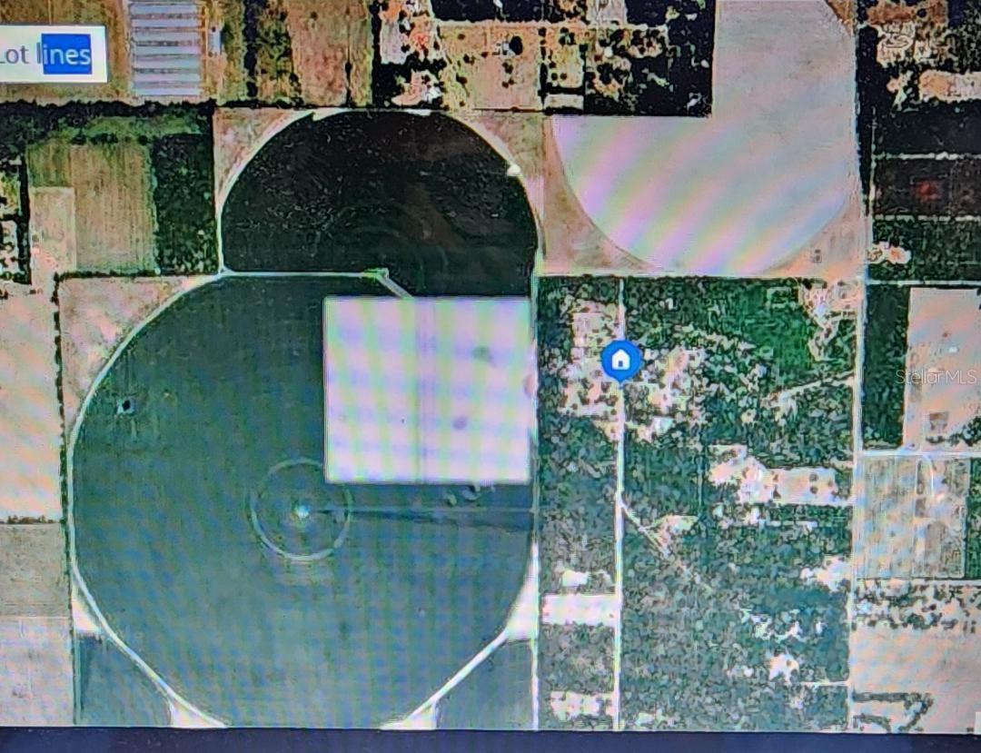 Details for 0000 Thomas Way, LEE, FL 32059