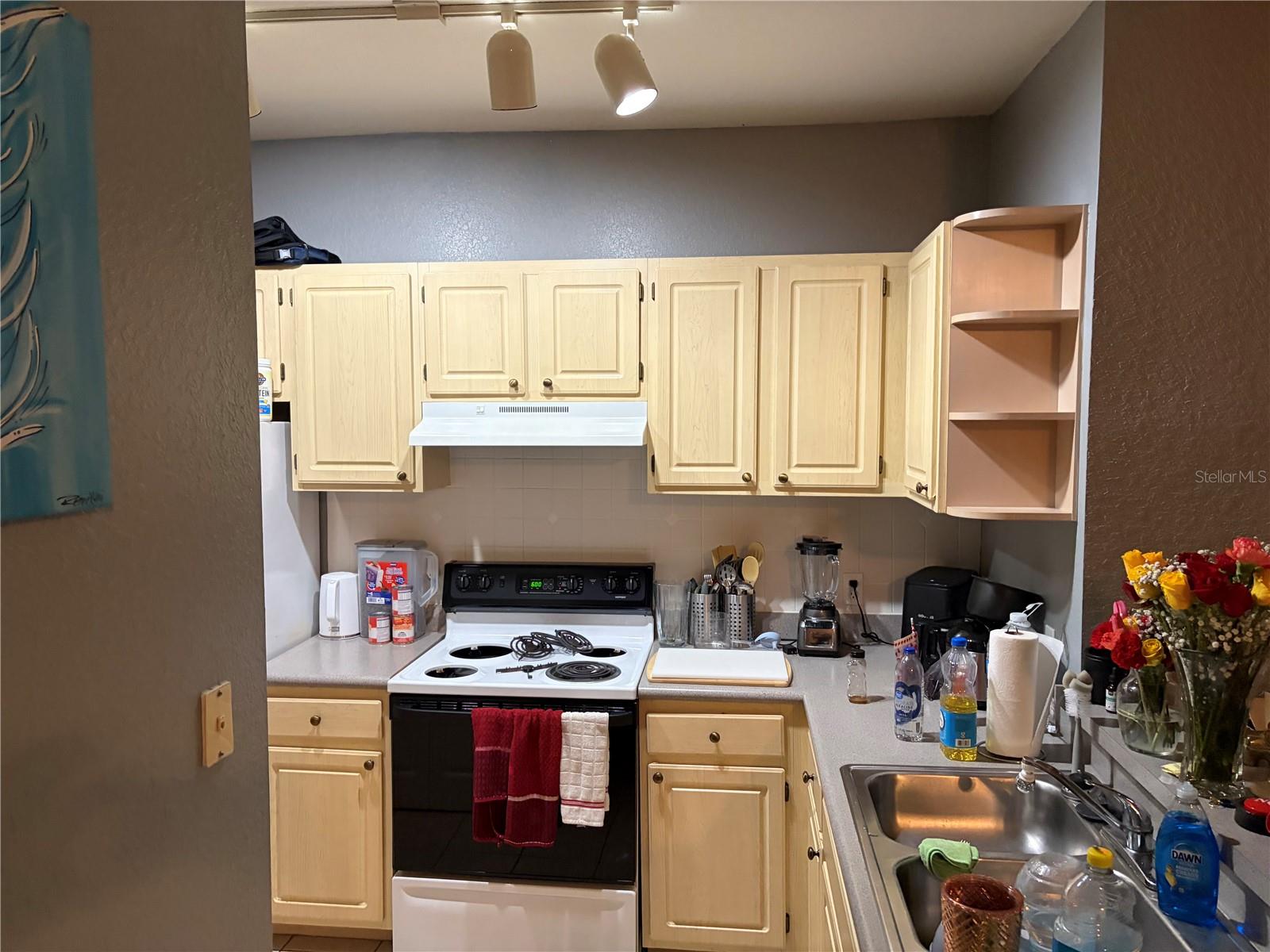 Image 5 of 19 For 1150 Lake Shadow Circle 3305