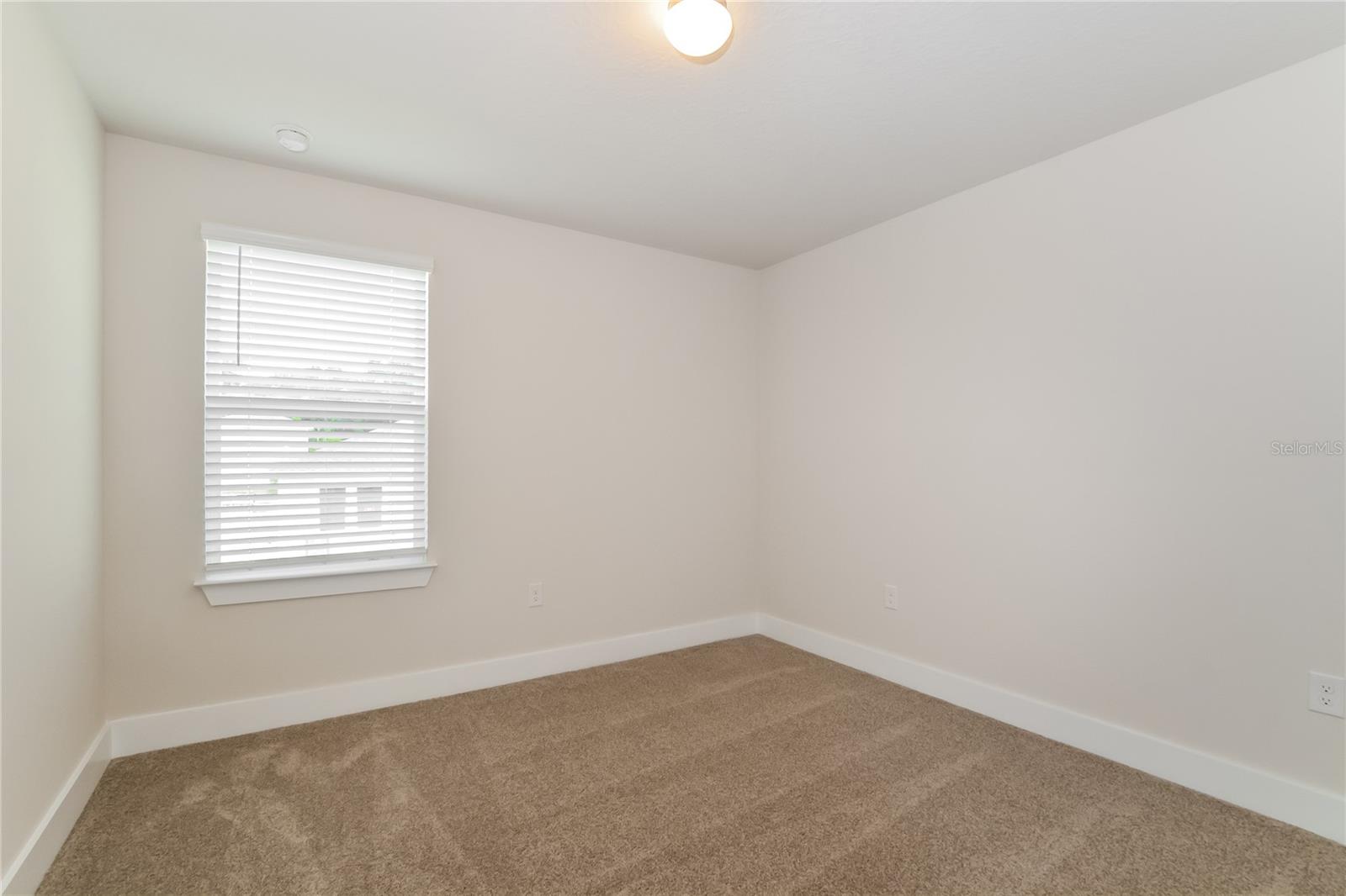 Image 12 of 15 For 317 Pine Street