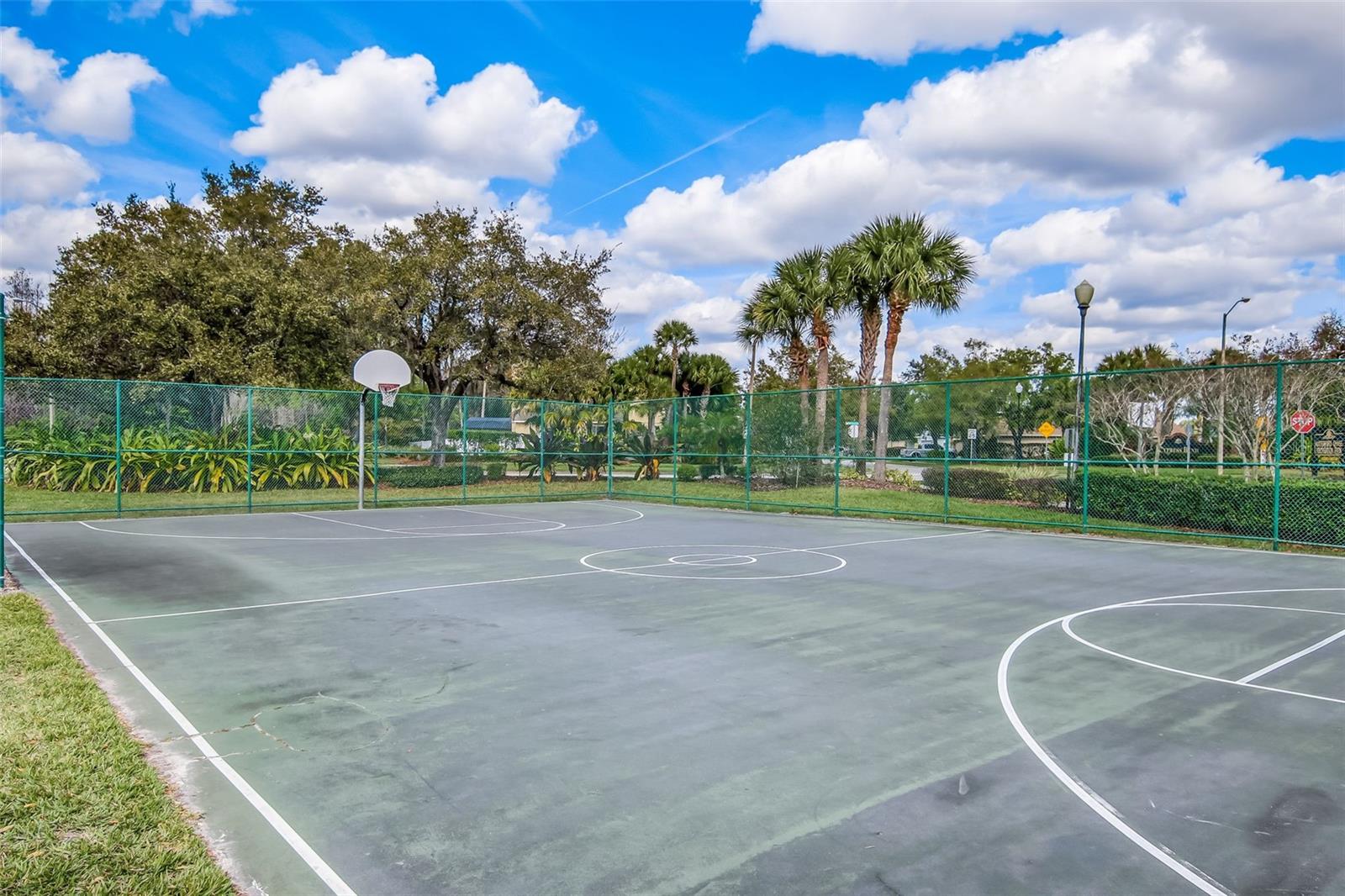 Image 43 of 43 For 12002 Shadowbrook Lane