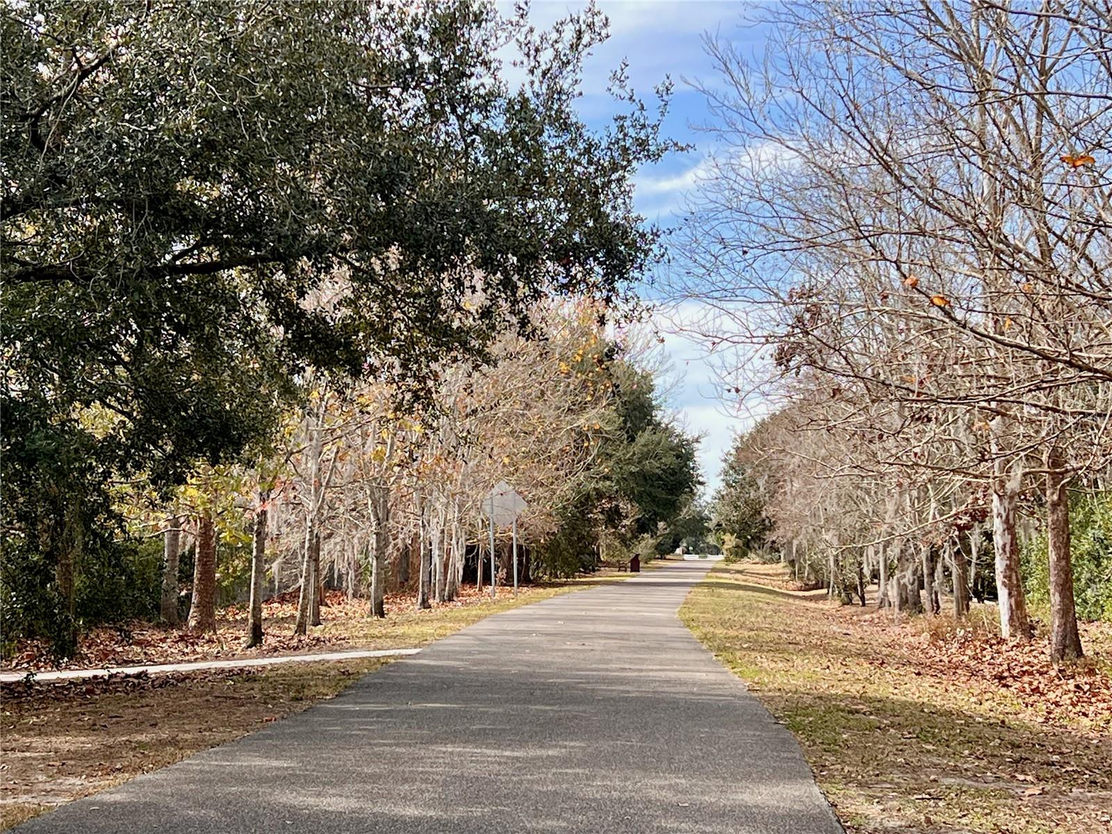 Image 44 of 45 For 2853 Shady Willow Lane