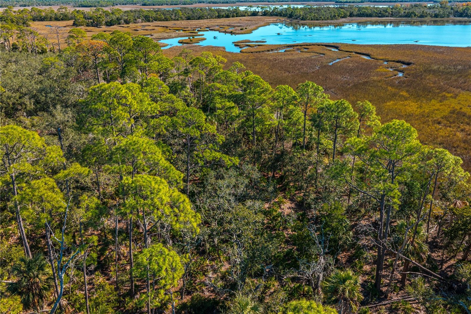 Image 22 of 46 For Clark Island