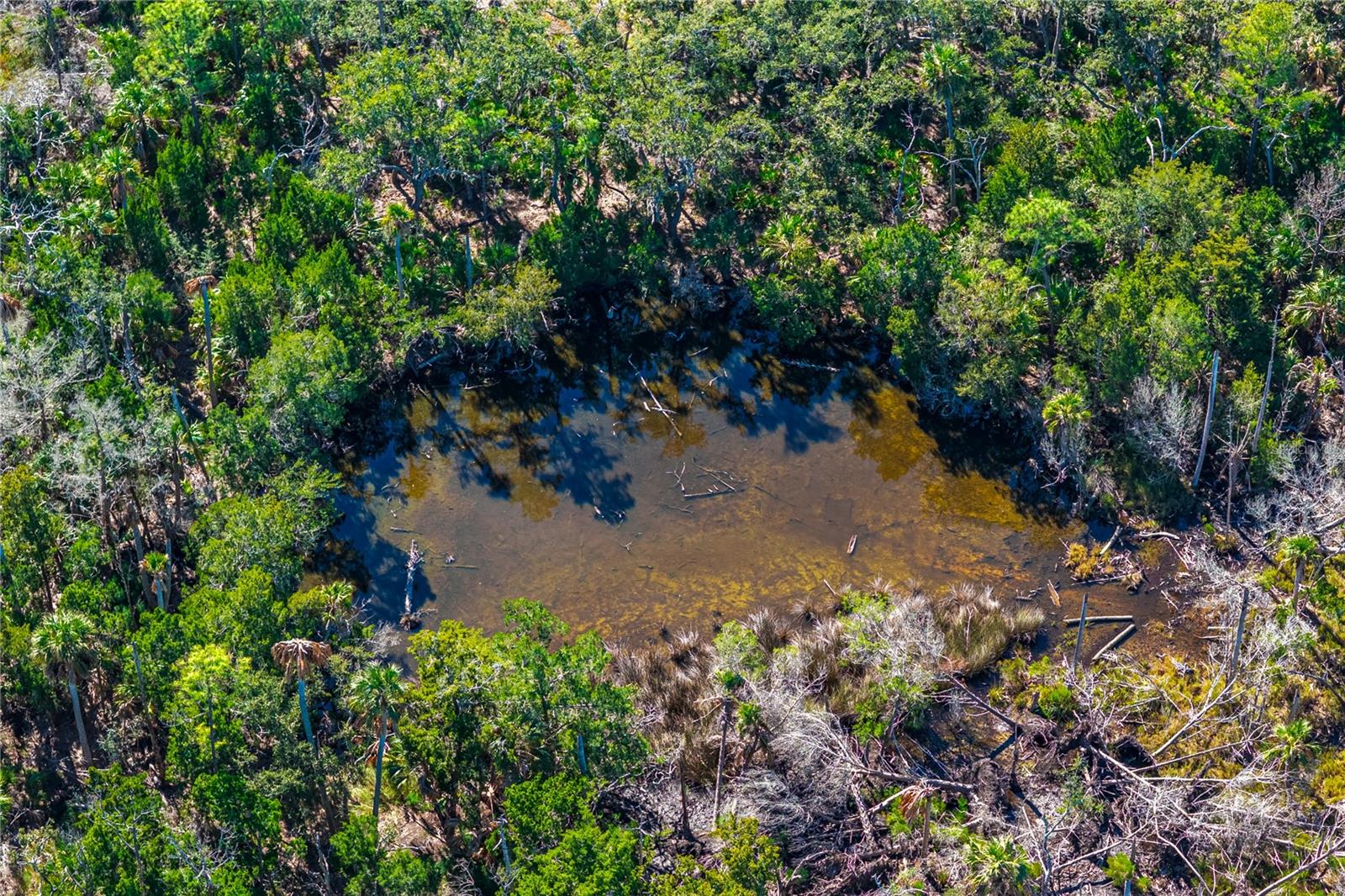 Image 26 of 46 For Clark Island