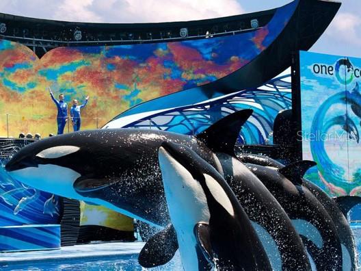 Image 32 of 36 For 515.5 Daniels Avenue