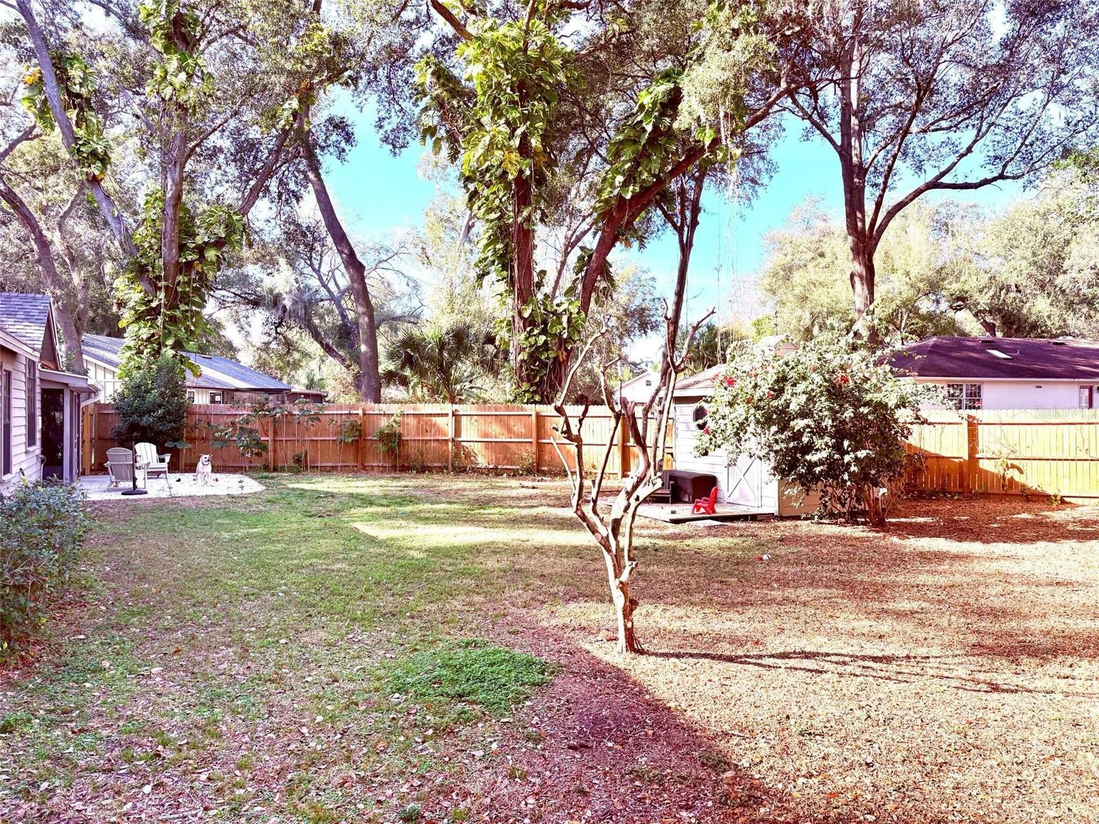 Image 28 of 33 For 3909 Lake Forest Street