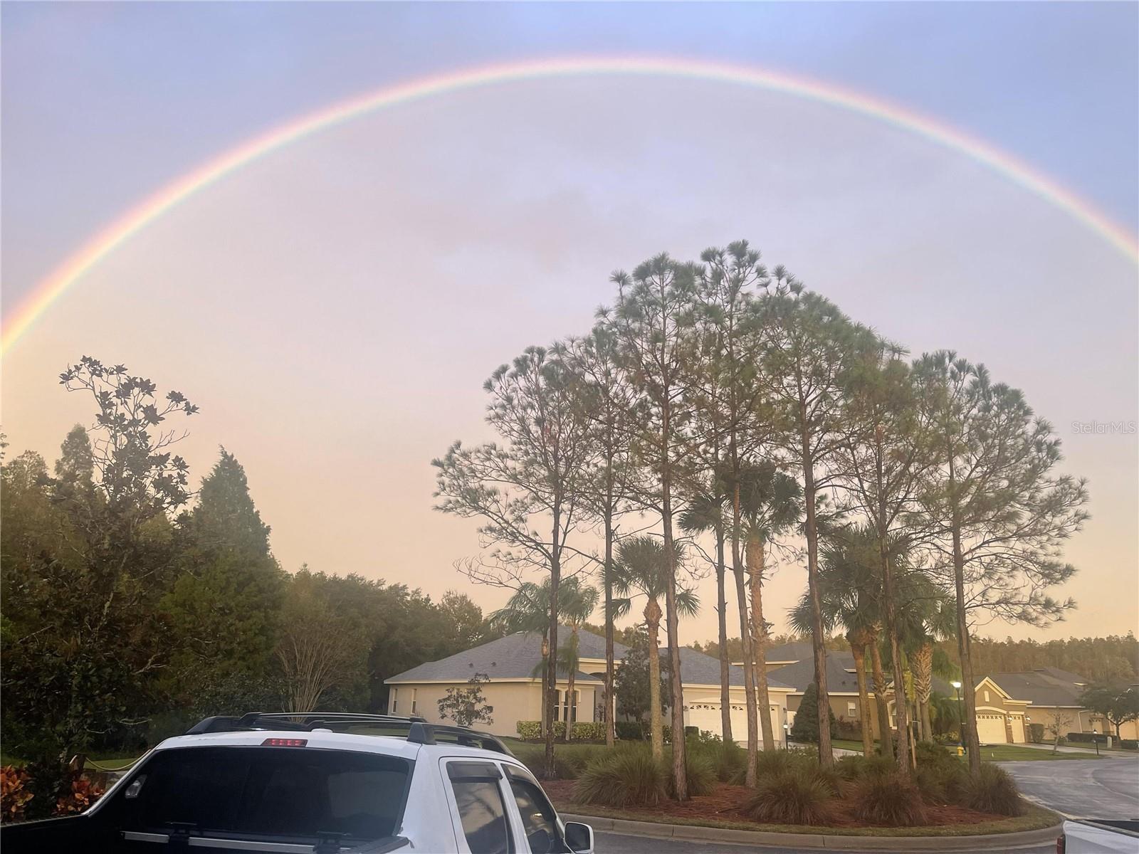 Image 13 of 79 For 10503 Palm Cove Avenue