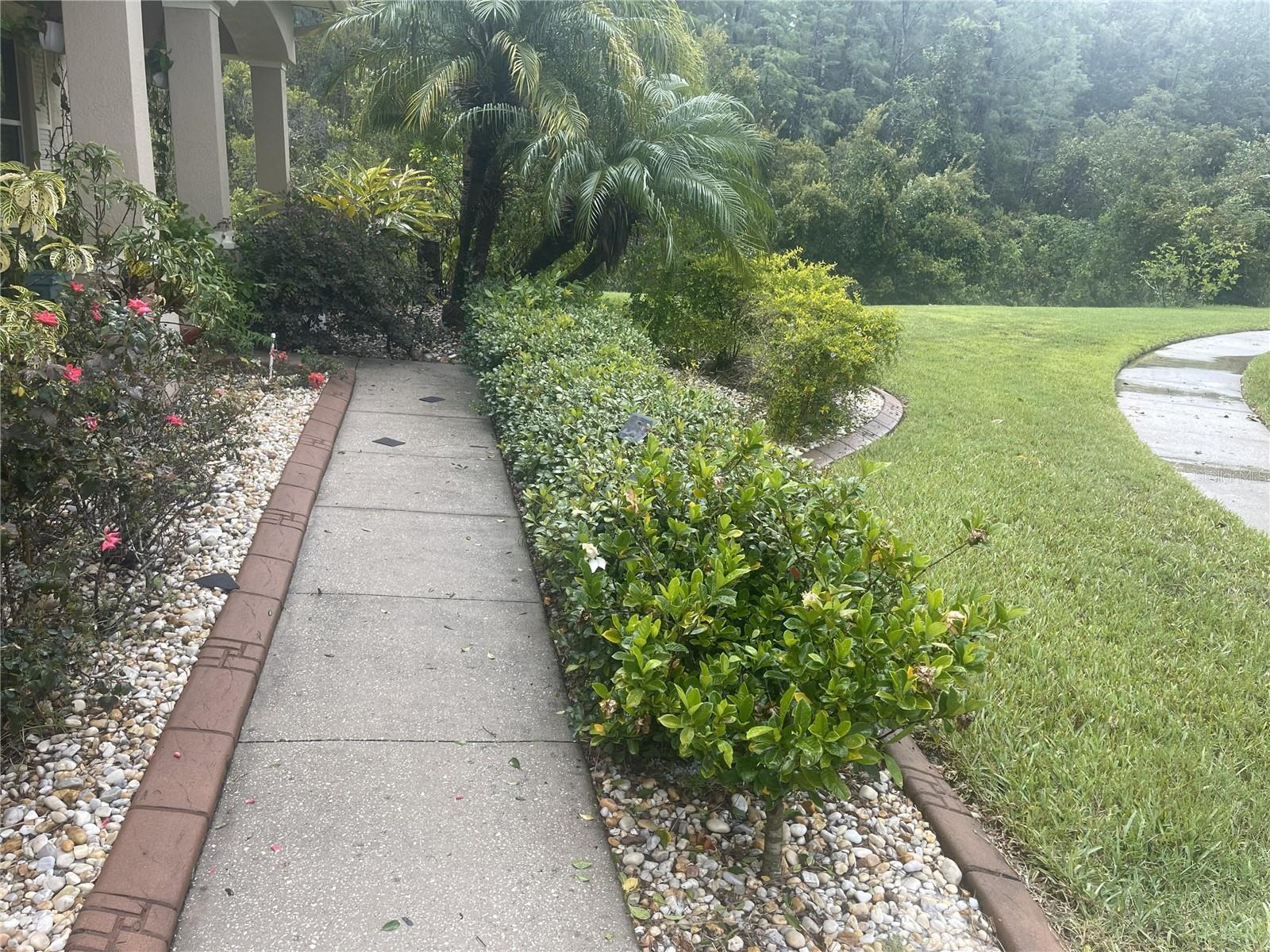 Image 19 of 79 For 10503 Palm Cove Avenue