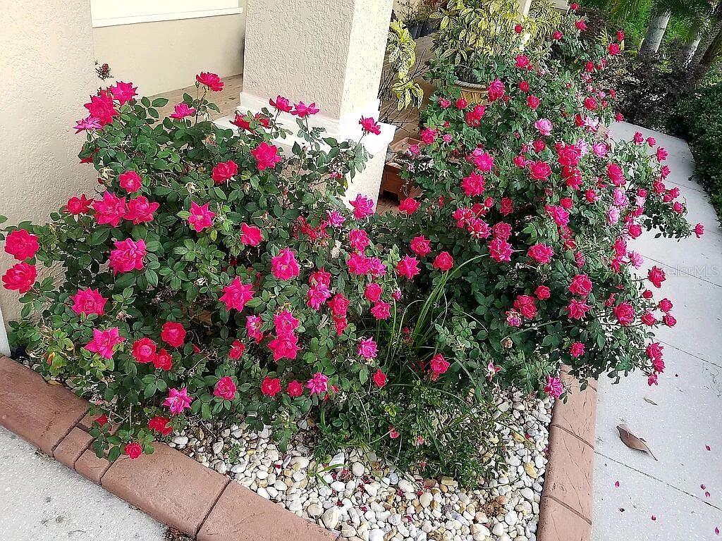 Image 22 of 79 For 10503 Palm Cove Avenue