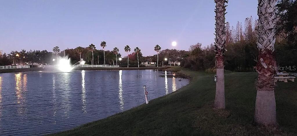 Image 24 of 79 For 10503 Palm Cove Avenue