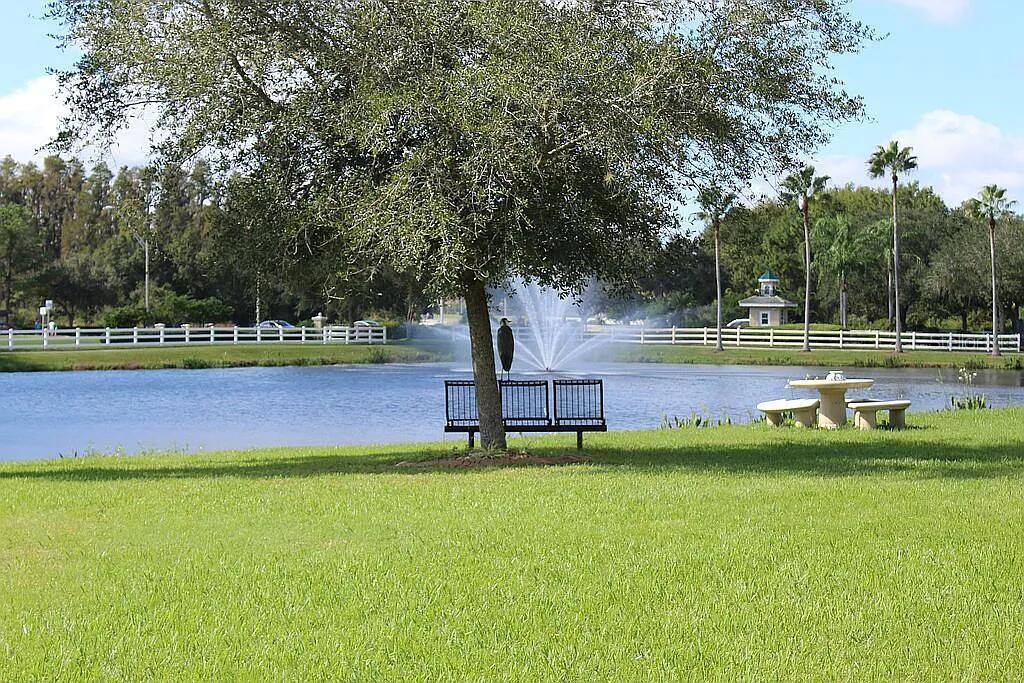 Image 32 of 79 For 10503 Palm Cove Avenue