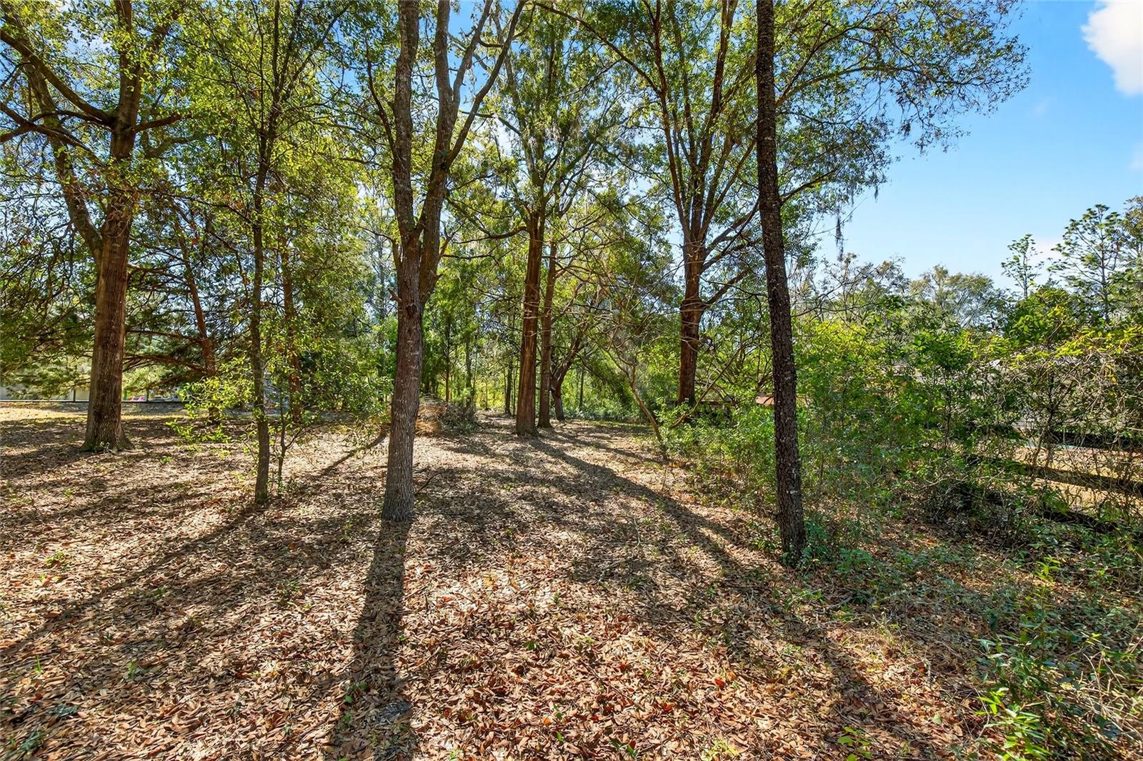 Image 40 of 42 For 9580 200th Court