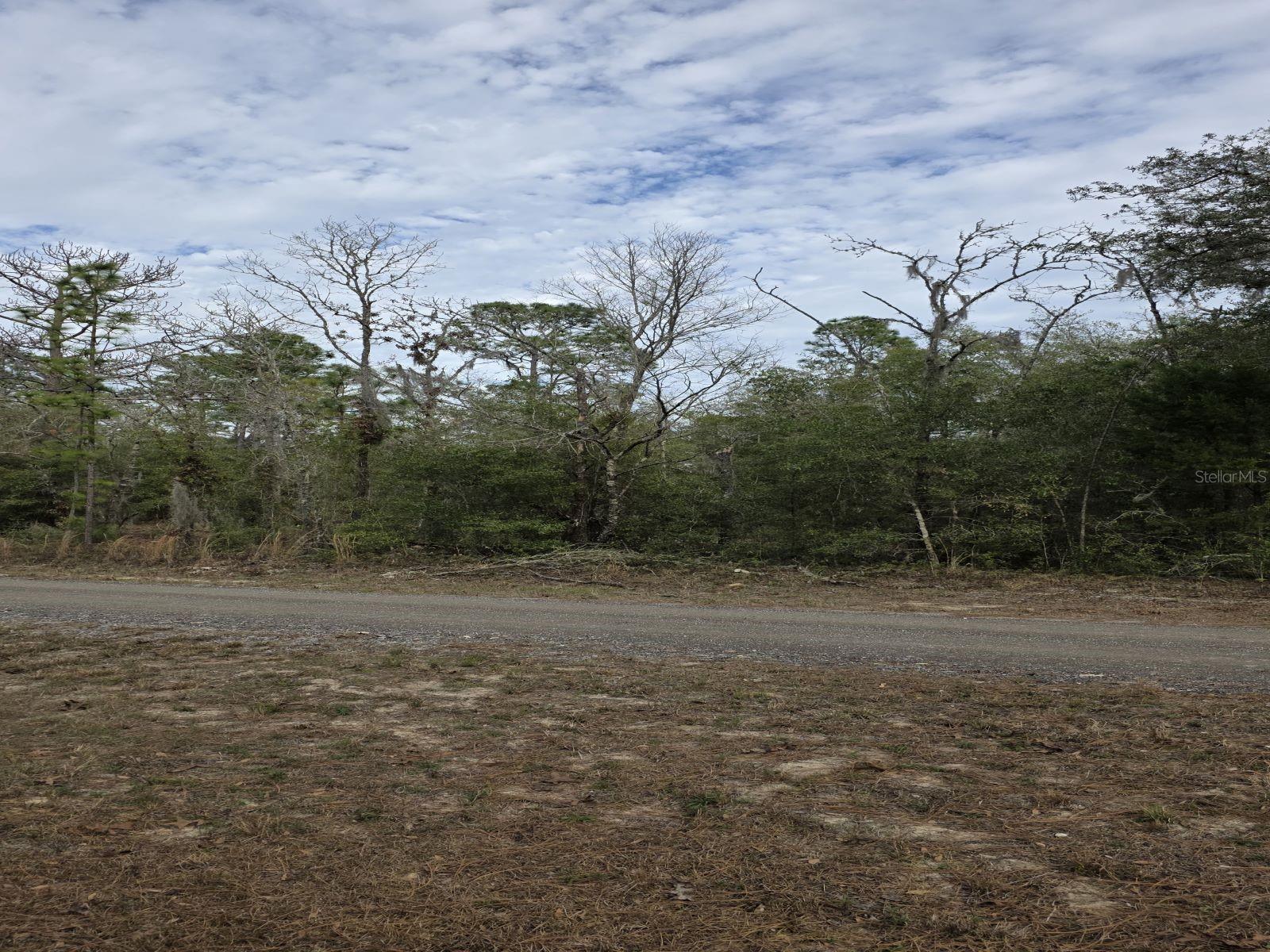 Image 5 of 6 For 141st Court