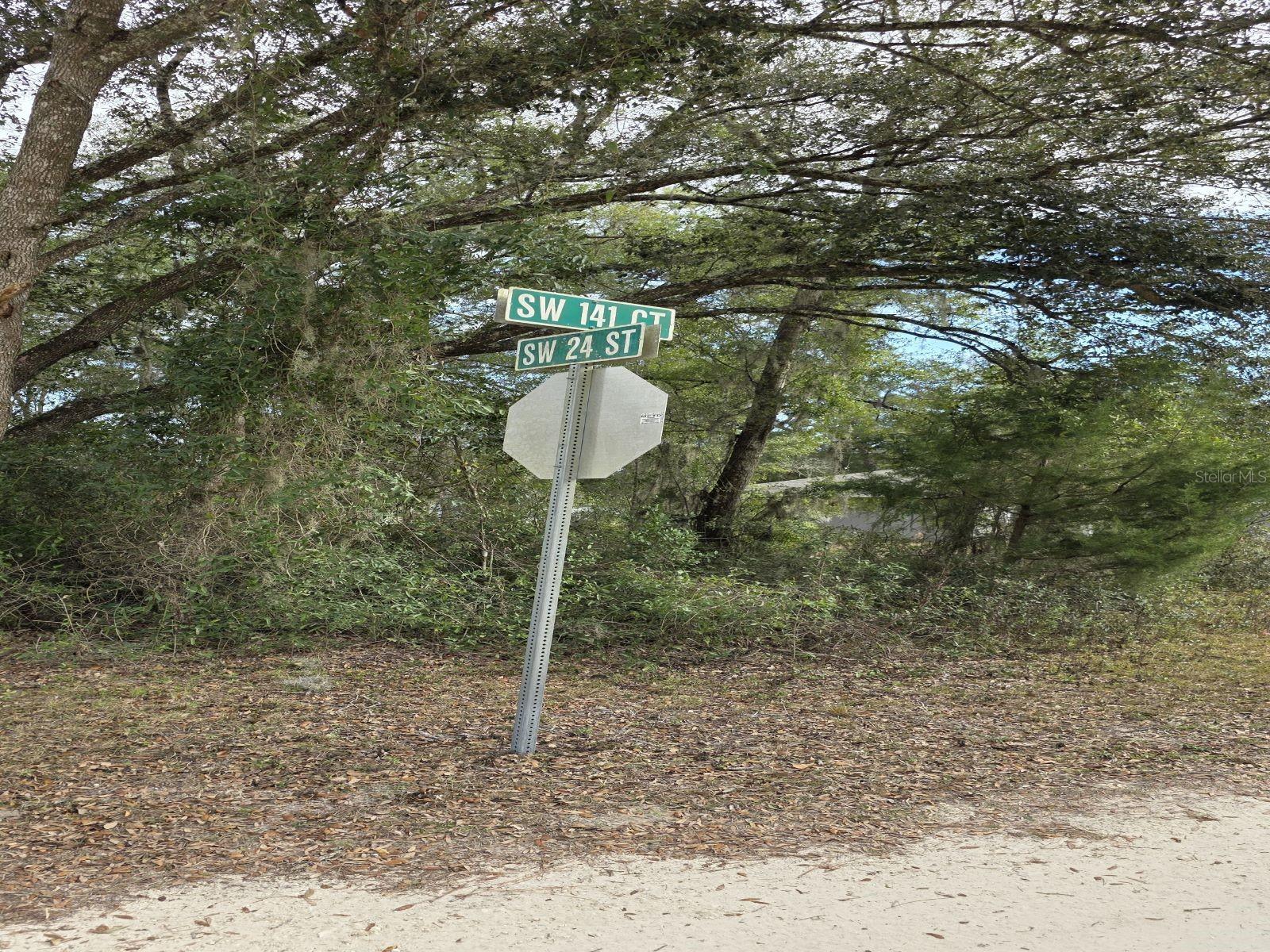 Image 5 of 5 For  141st  