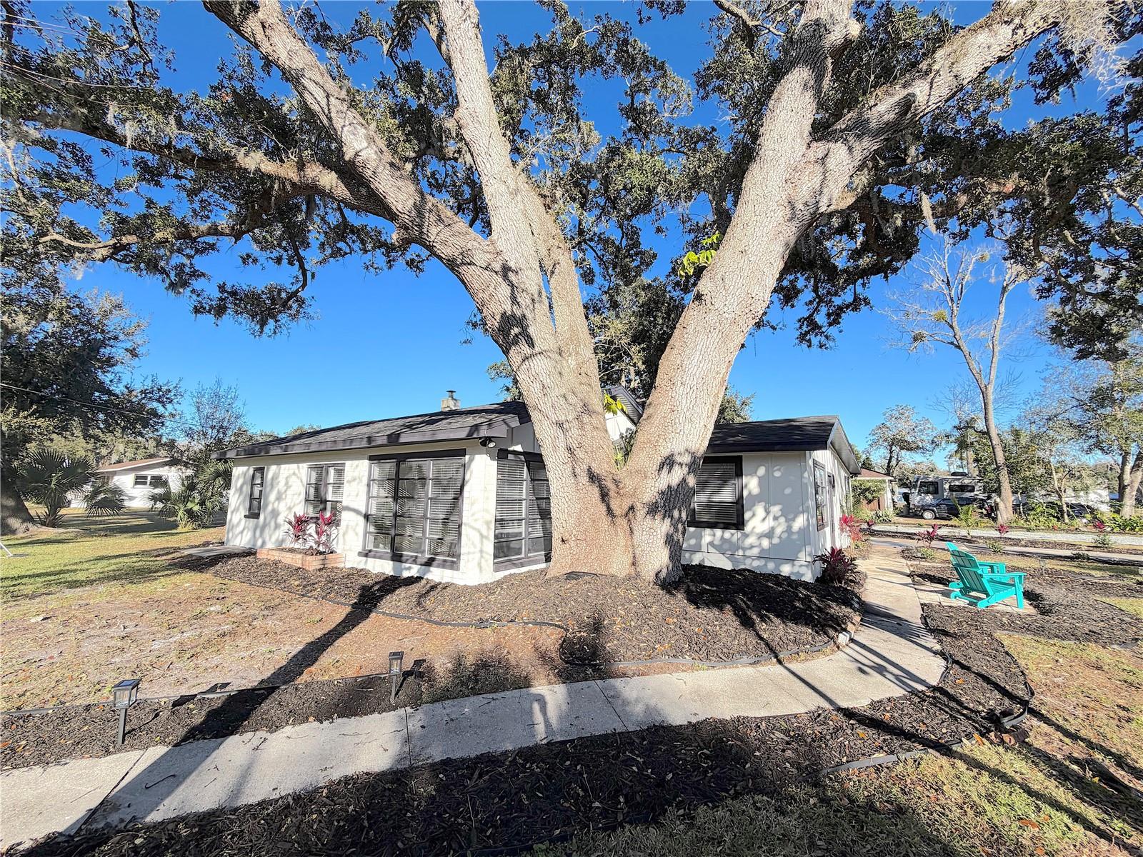 Image 58 of 63 For 341 Hammond Street