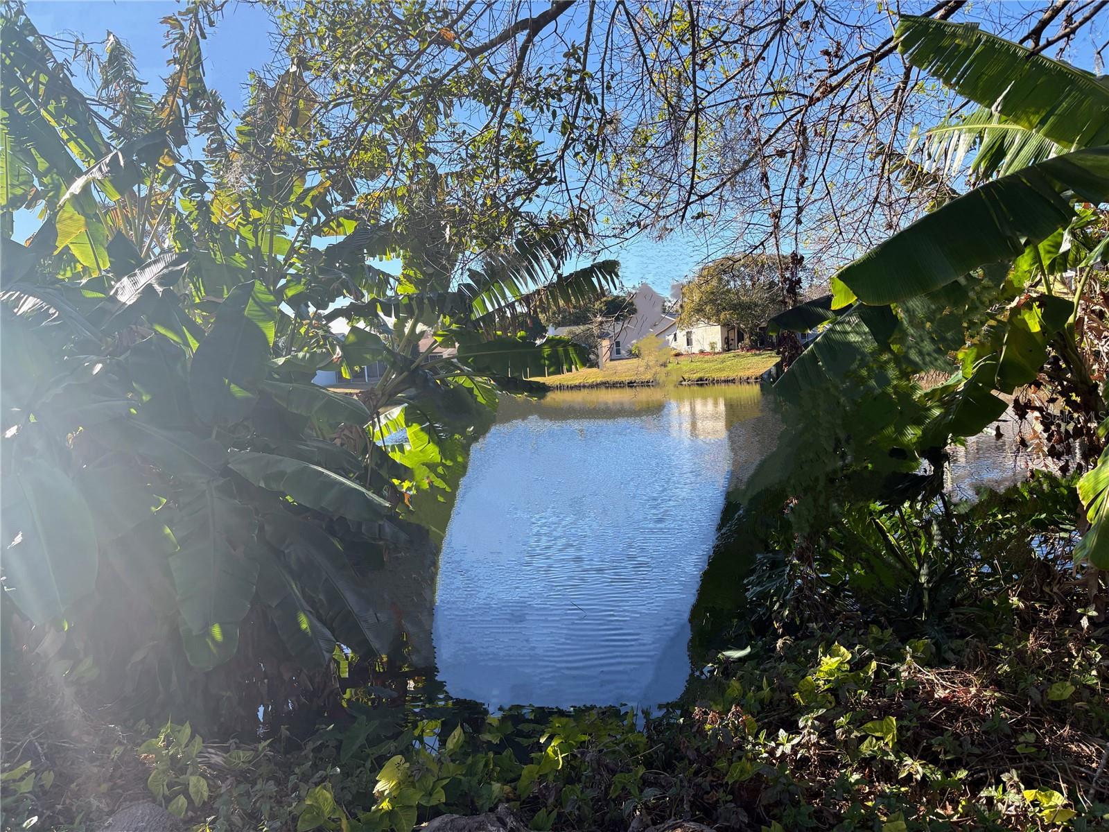 Image 2 of 2 For 717 Adidas Road