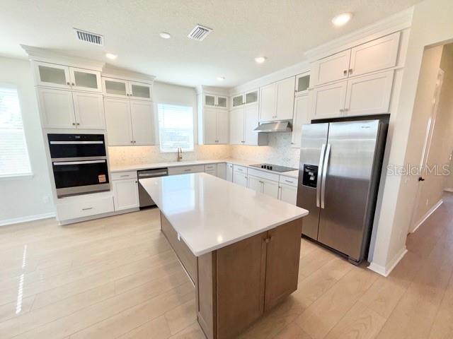 Image 13 of 26 For 2153 Mossy Vine Avenue