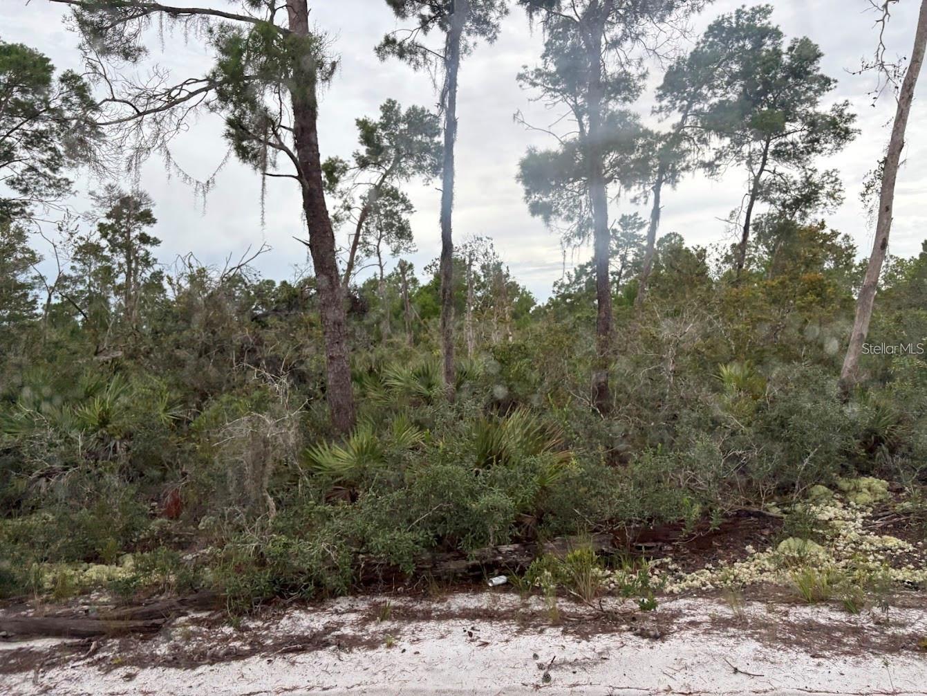 Image 5 of 9 For 5932, Canopy Rd