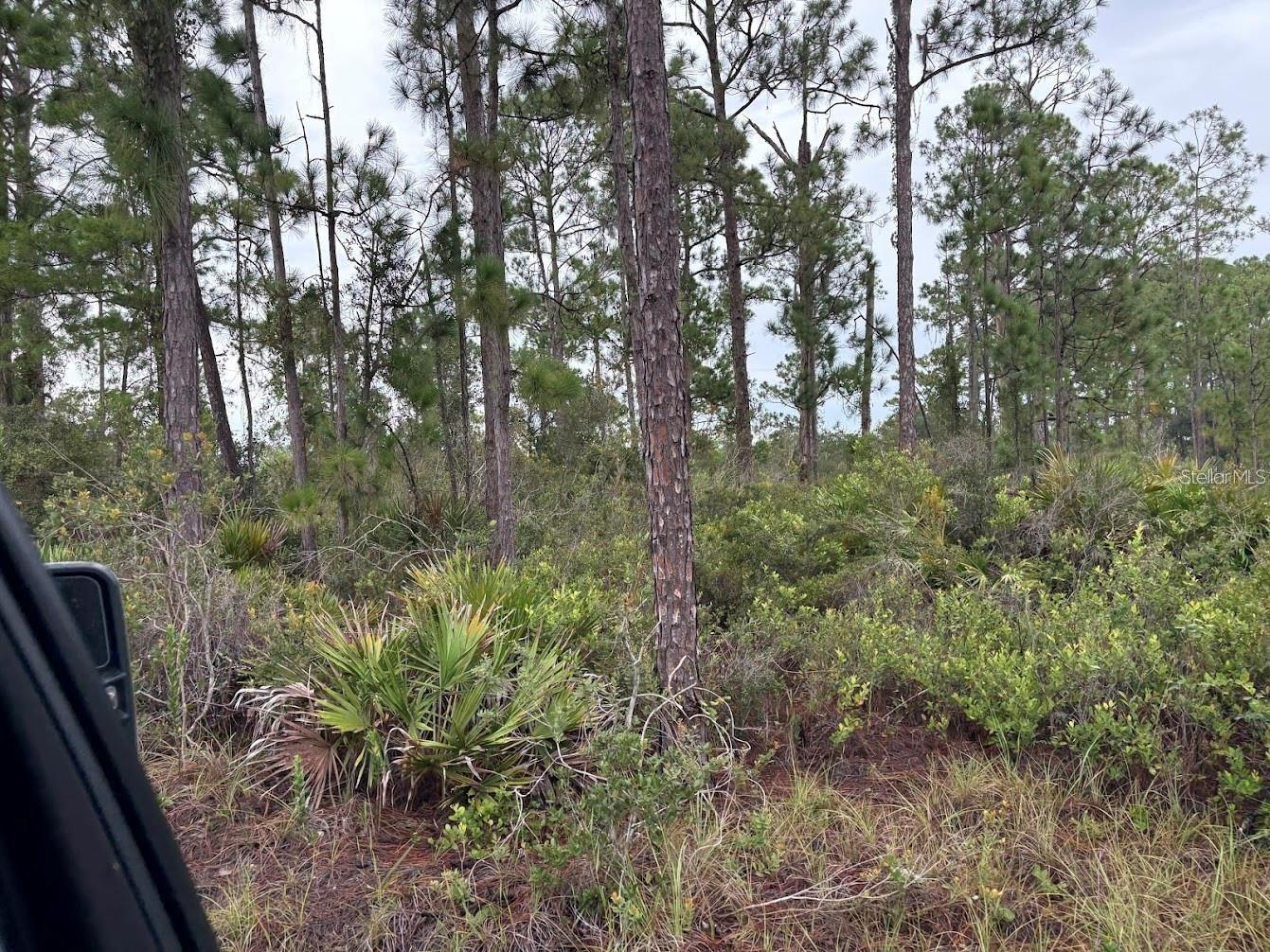 Image 6 of 9 For 5932, Canopy Rd