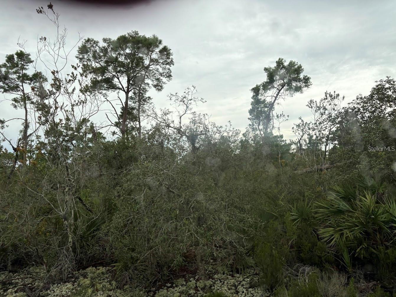 Image 7 of 9 For 5932, Canopy Rd