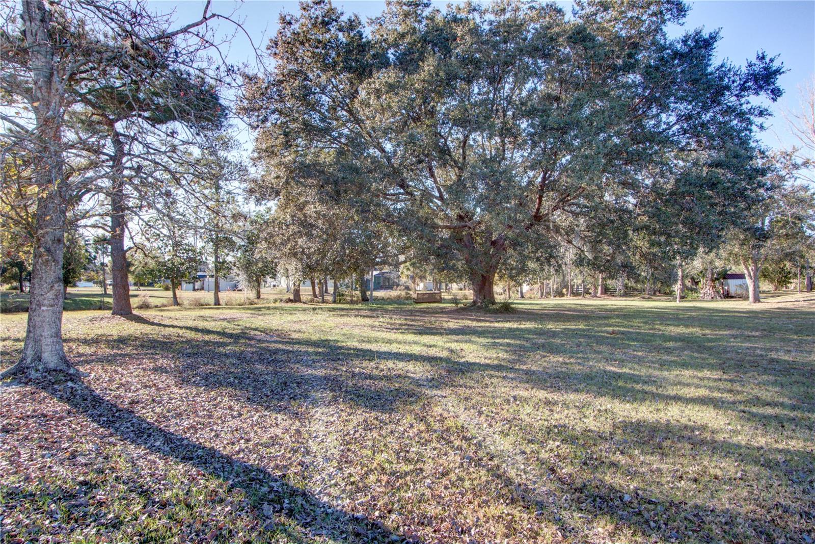 Image 10 of 31 For Breaks Lane