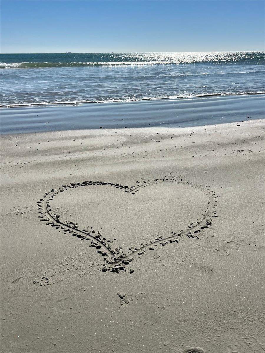 Image 18 of 27 For 8496 Ridgewood Avenue 3405