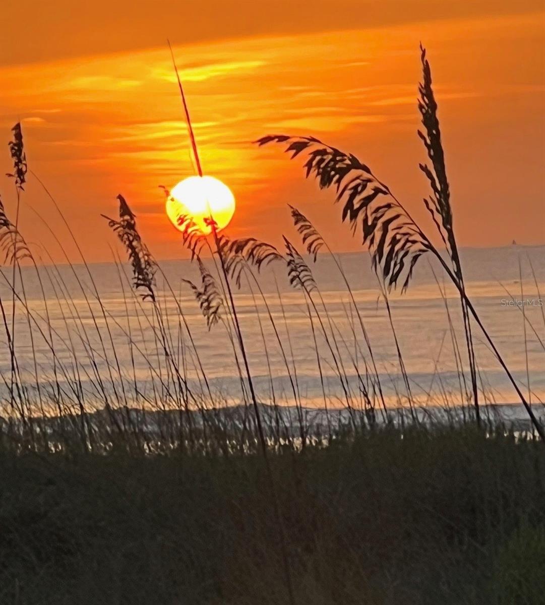 Image 3 of 27 For 8496 Ridgewood Avenue 3405