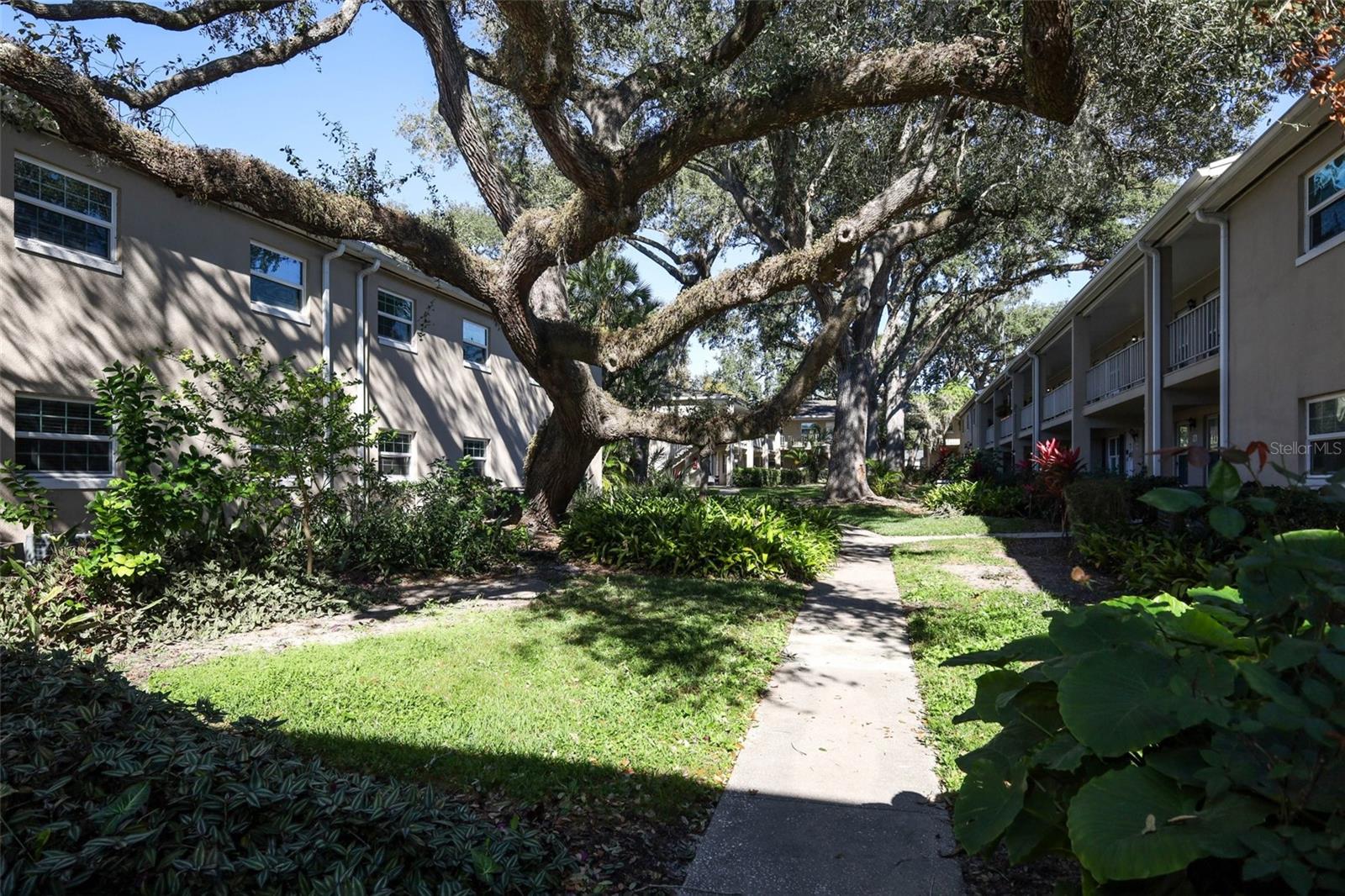 Image 19 of 35 For Address Not Provided