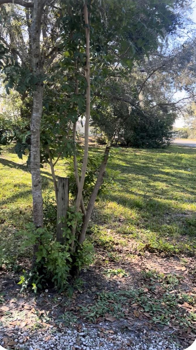 Image 3 of 4 For 337 Waterview Drive