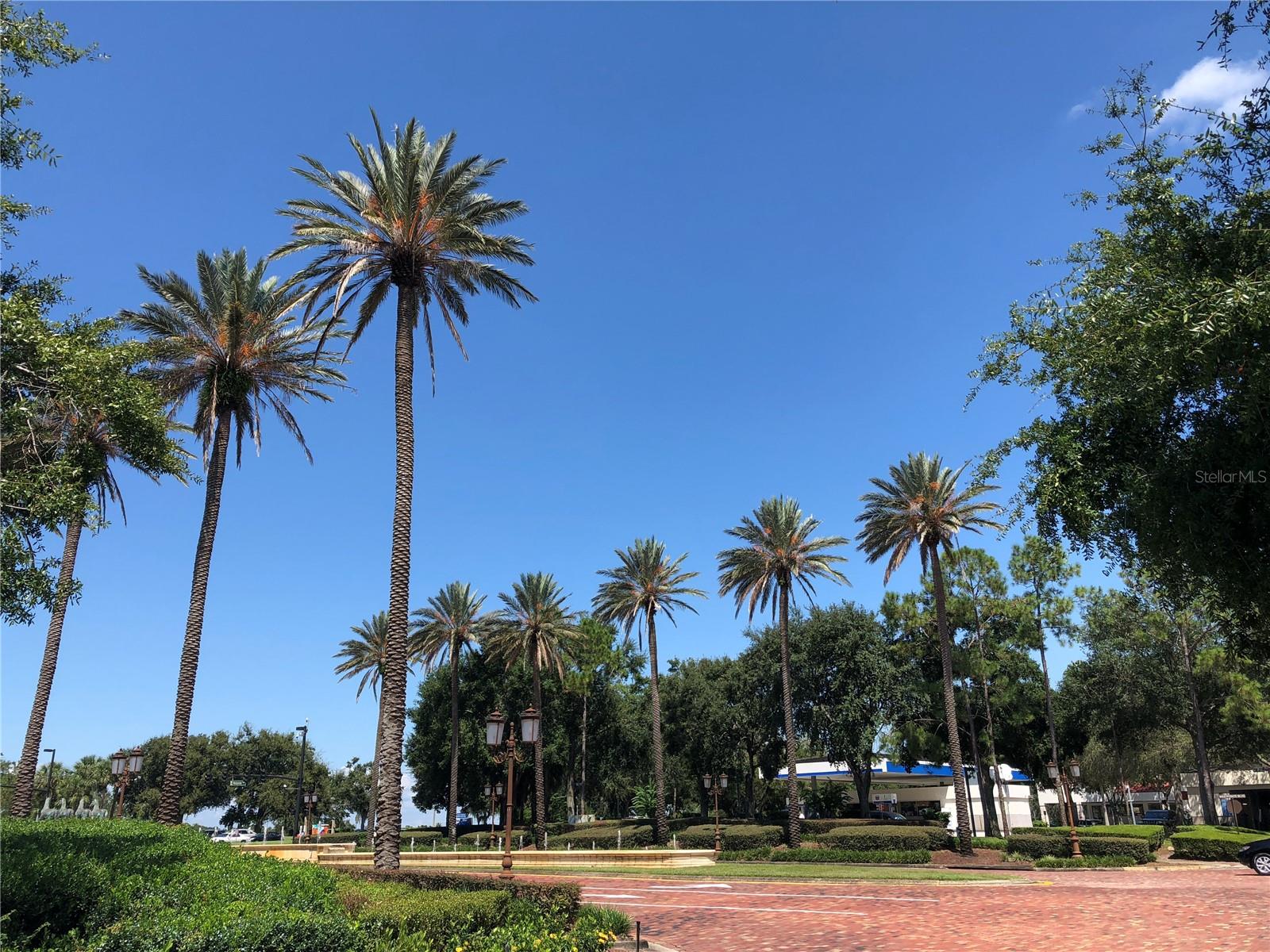 Image 5 of 8 For 7065 Westpointe Boulevard 203