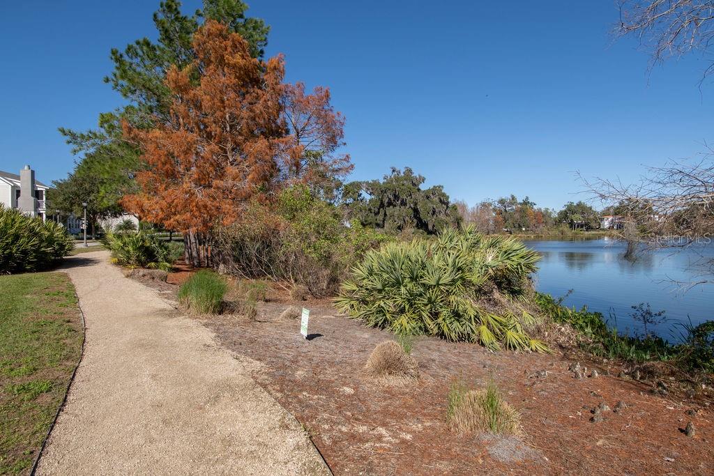 Image 39 of 64 For 1024 Kershaw Drive