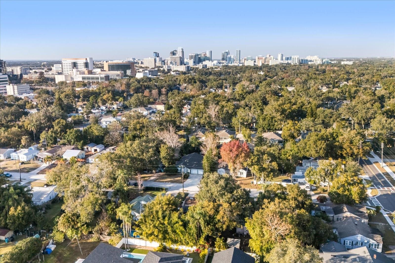 Image 31 of 32 For 230 Esther Street