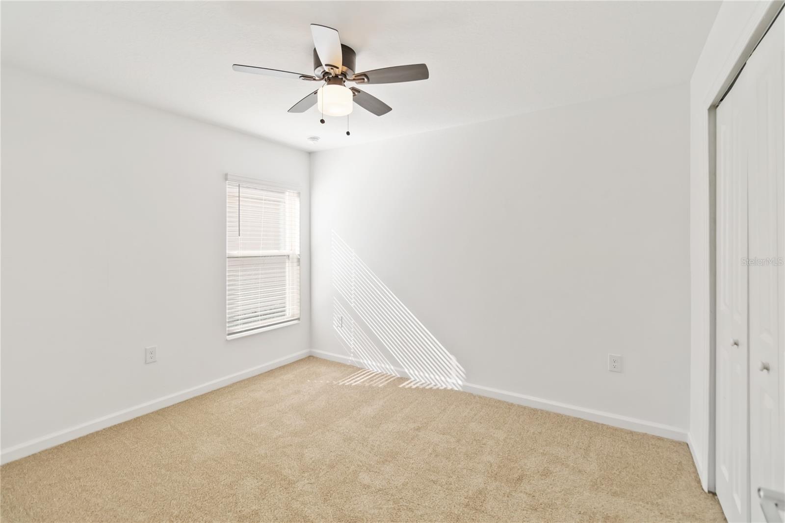 Image 20 of 36 For 292 Pineywoods Street