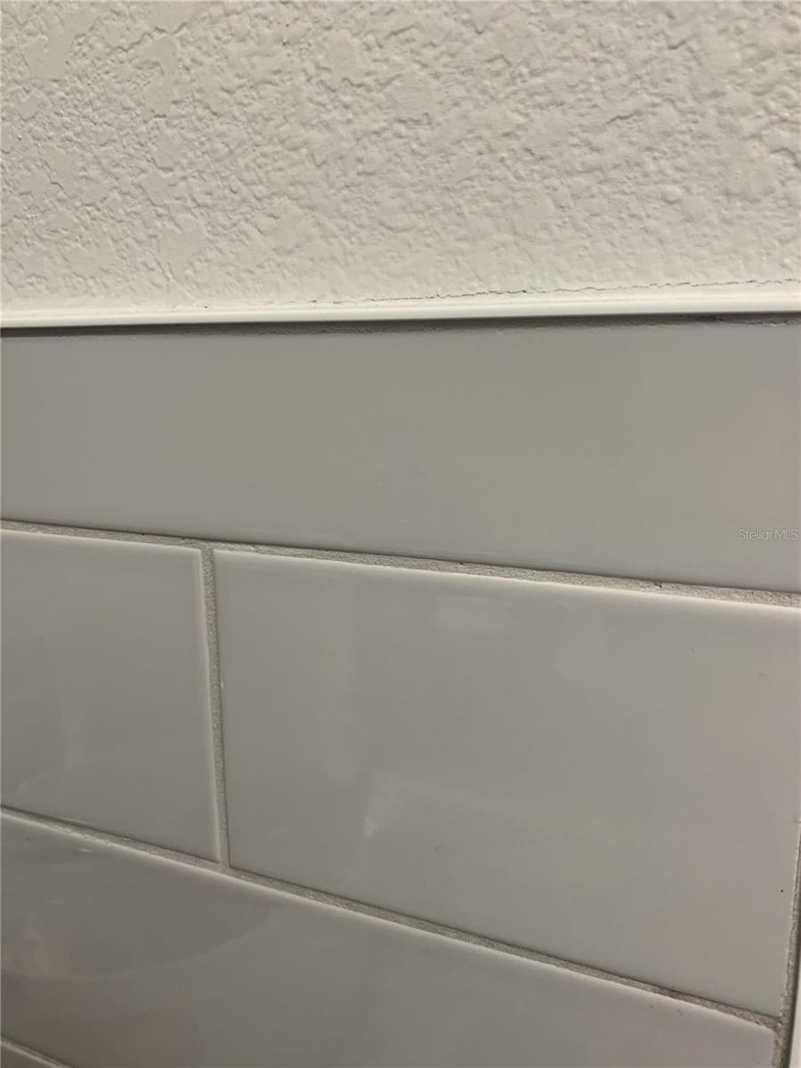 Image 13 of 48 For 316 Southern Pecan Circle 205