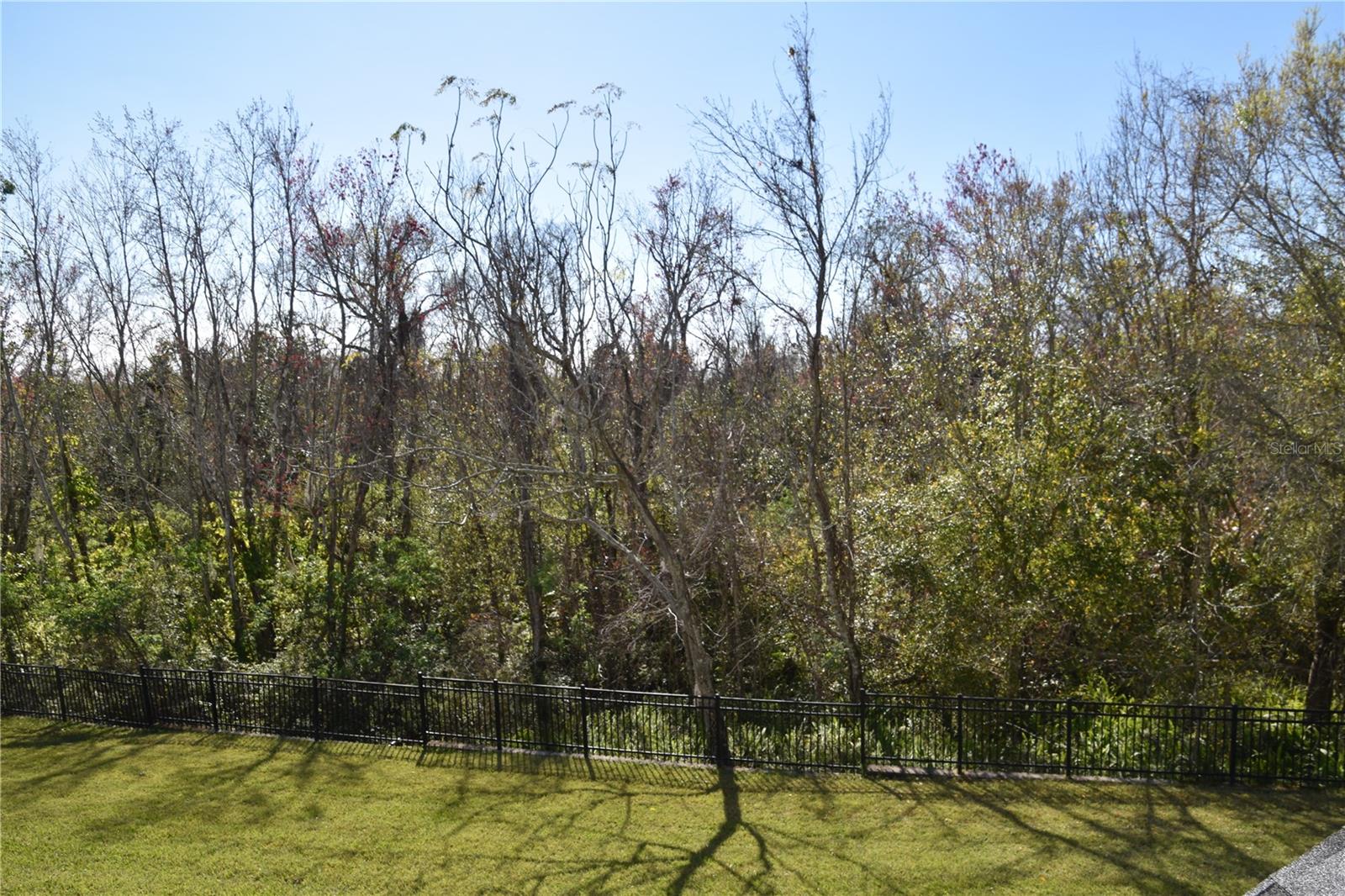 Image 3 of 48 For 316 Southern Pecan Circle 205