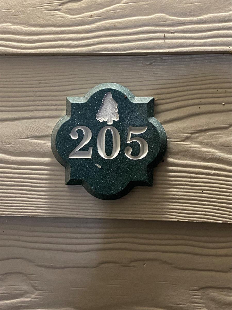 Image 5 of 48 For 316 Southern Pecan Circle 205