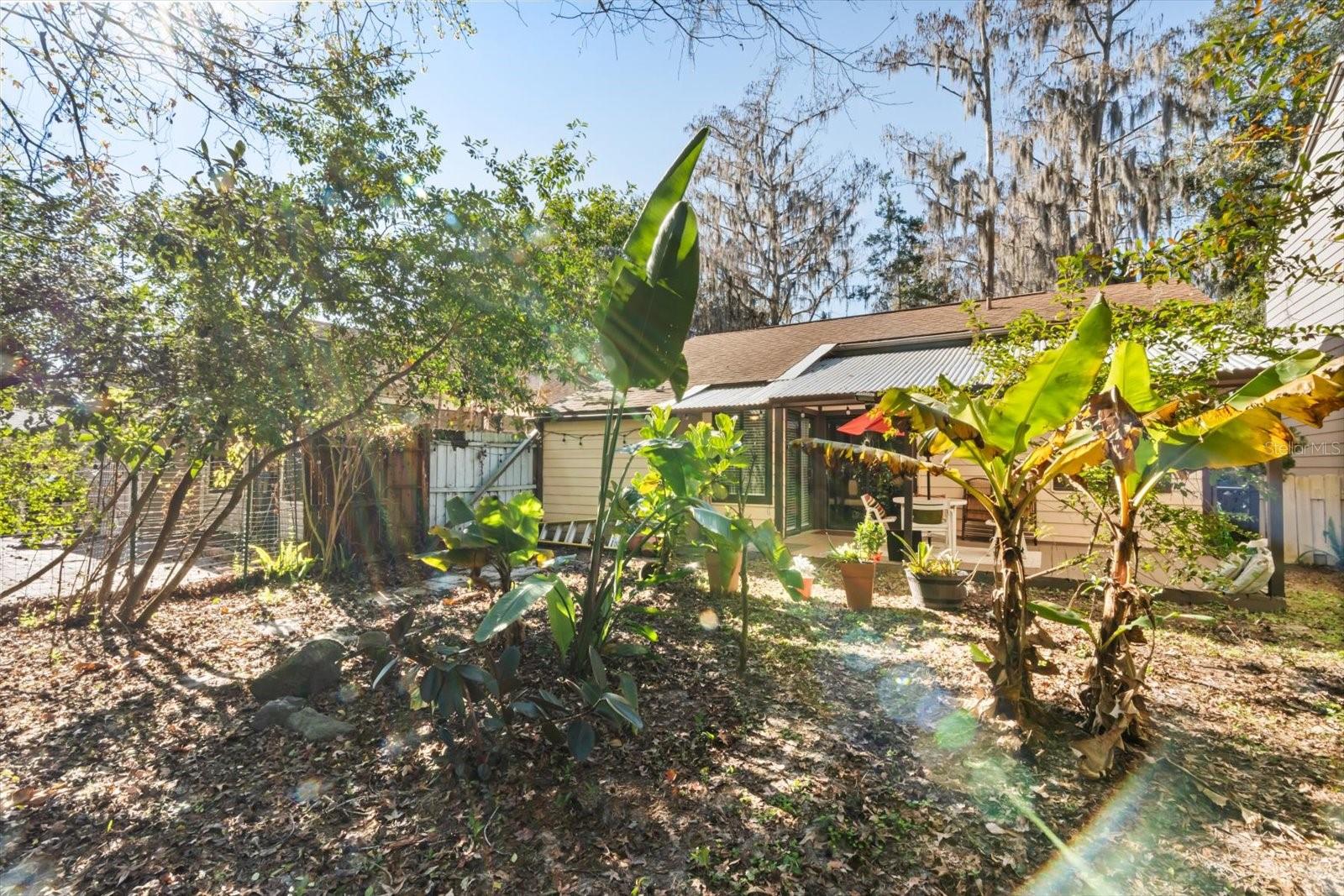 Image 20 of 28 For 337 Kirkcaldy Drive