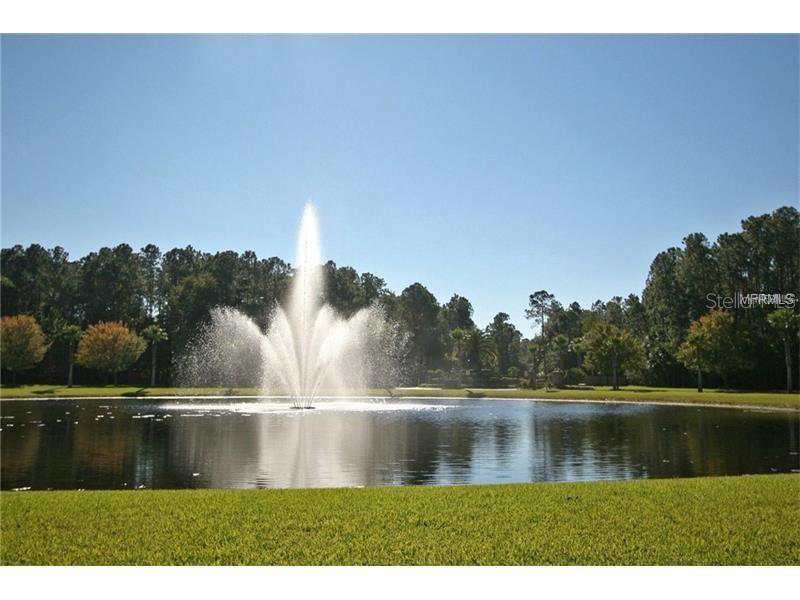 Image 49 of 49 For 1662 Swallowtail Lane