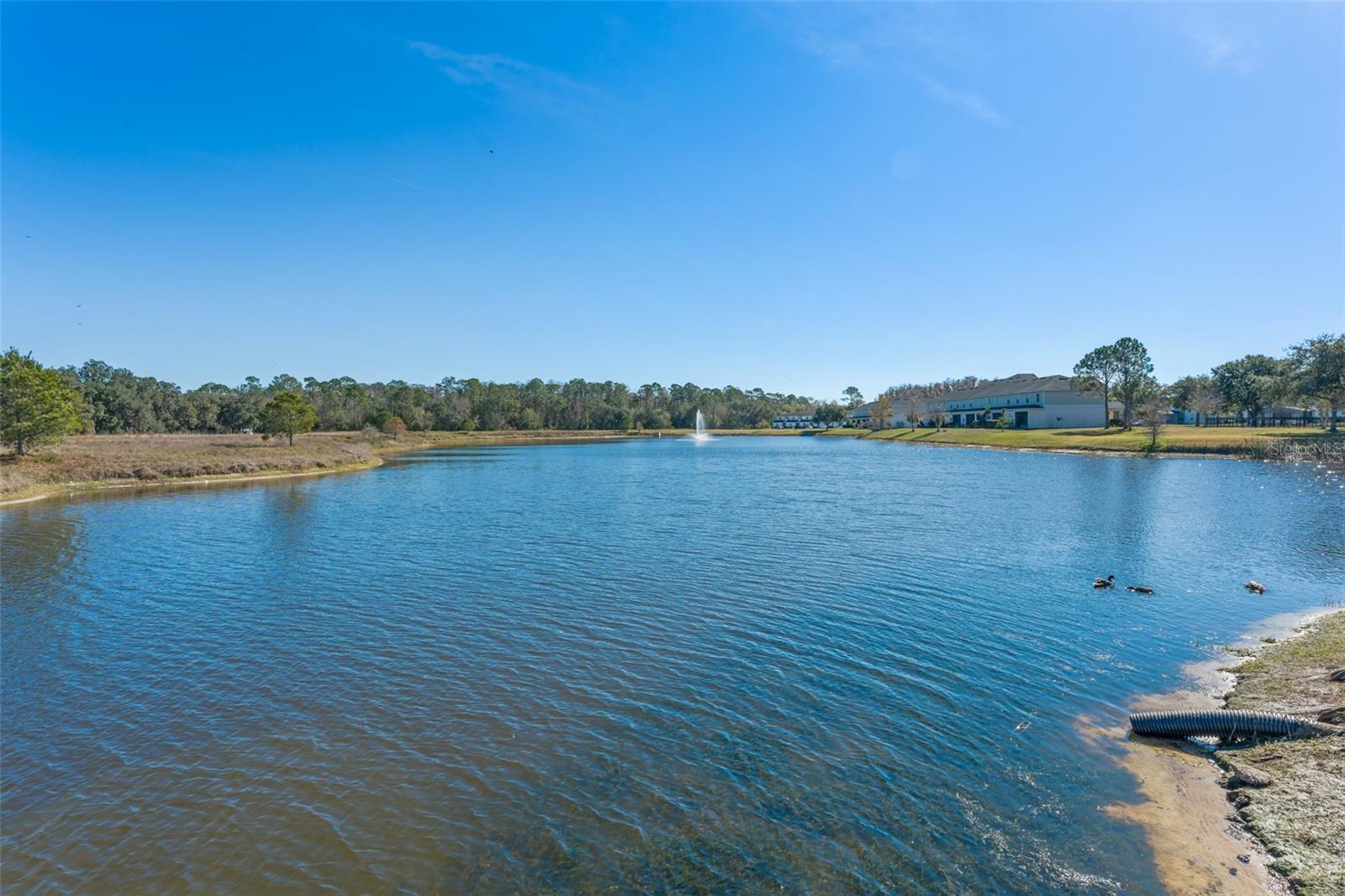 Image 63 of 63 For 4954 Castle Street E