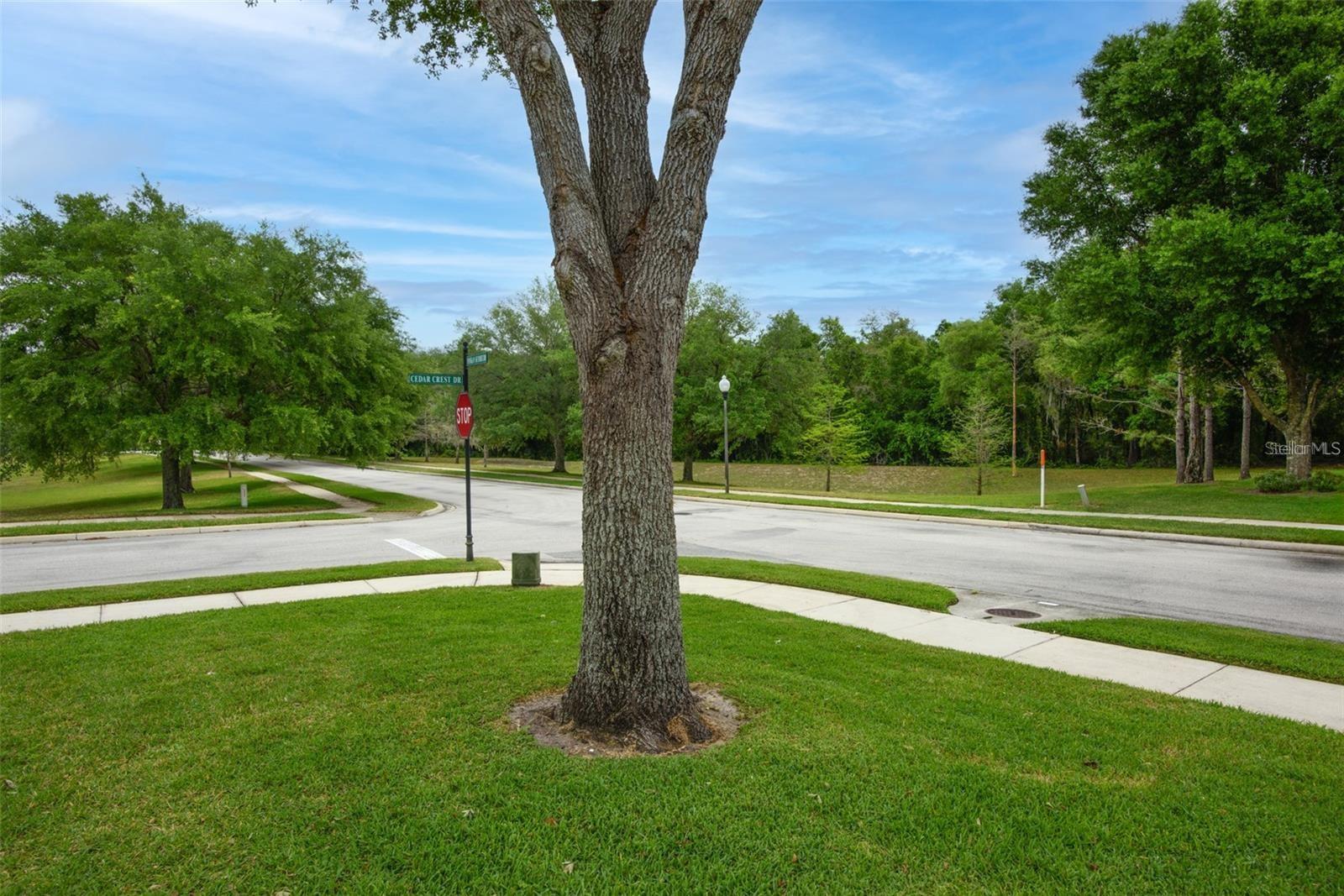 Image 5 of 45 For 2407 Ponkan Summit Drive