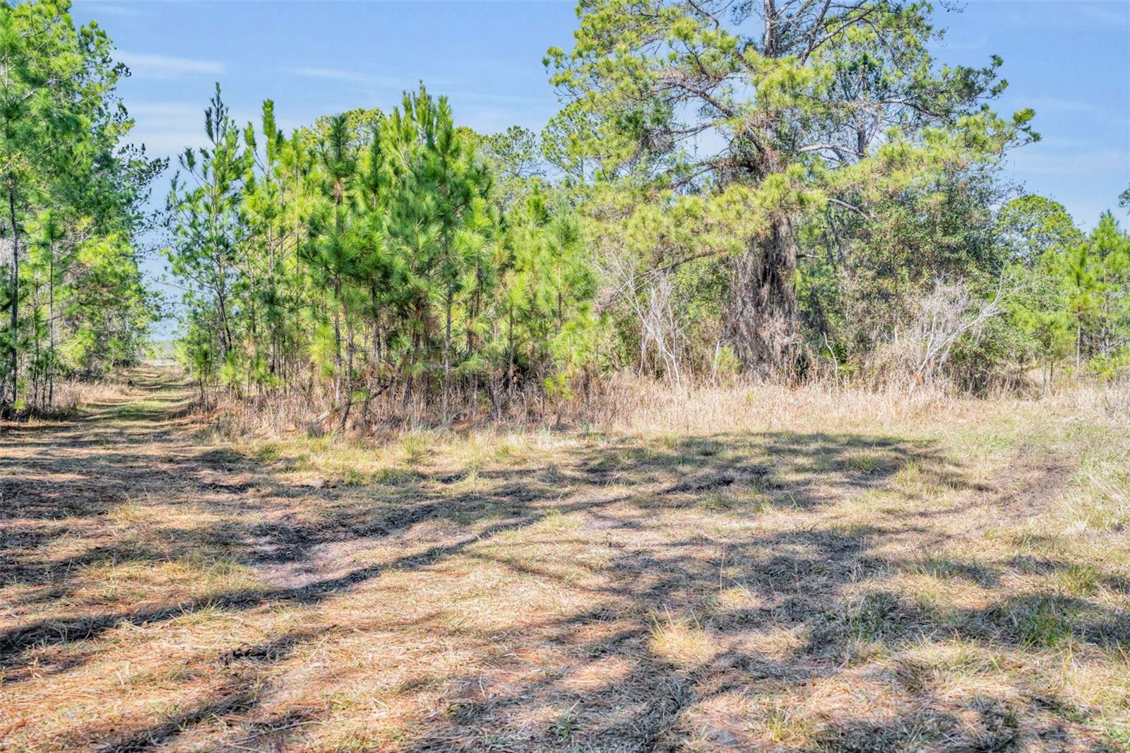 Image 21 of 29 For 925 & 975 Keelhaul Road