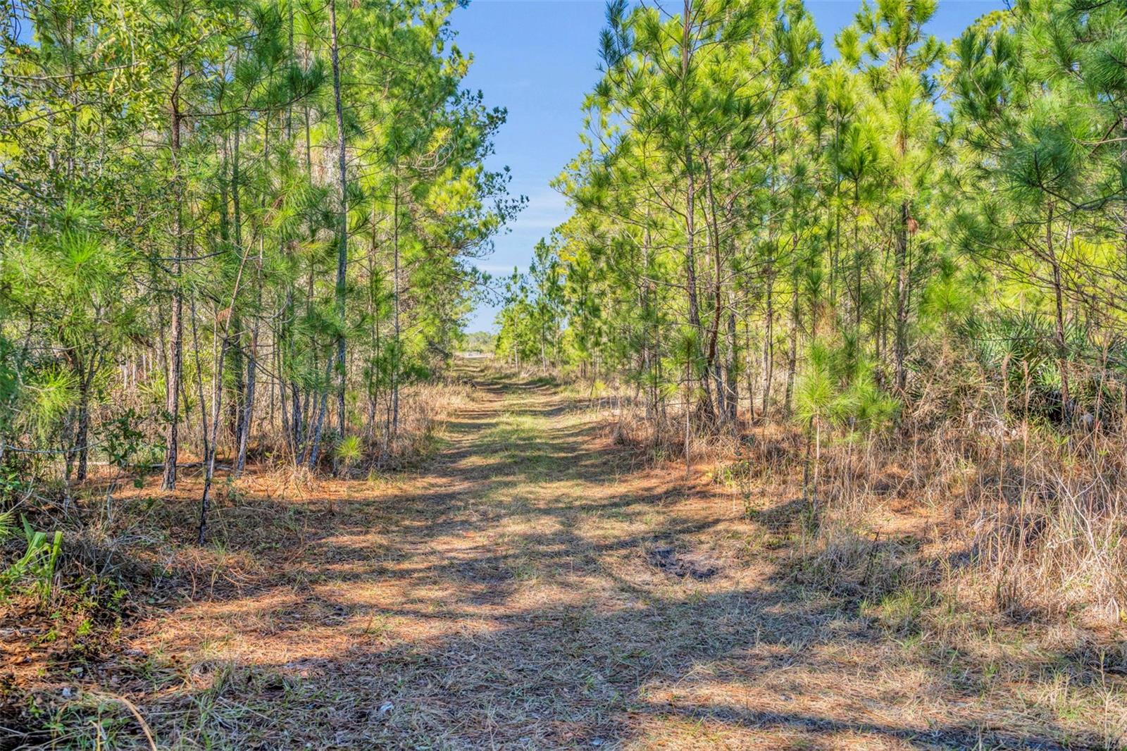 Image 24 of 29 For 925 & 975 Keelhaul Road