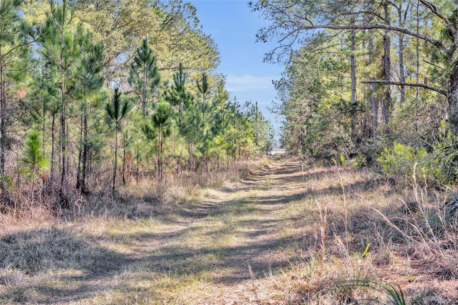 Image 26 of 29 For 925 & 975 Keelhaul Road