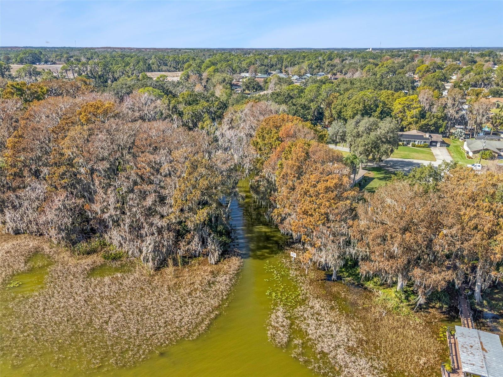 Image 35 of 40 For 35534 Cedar Lane